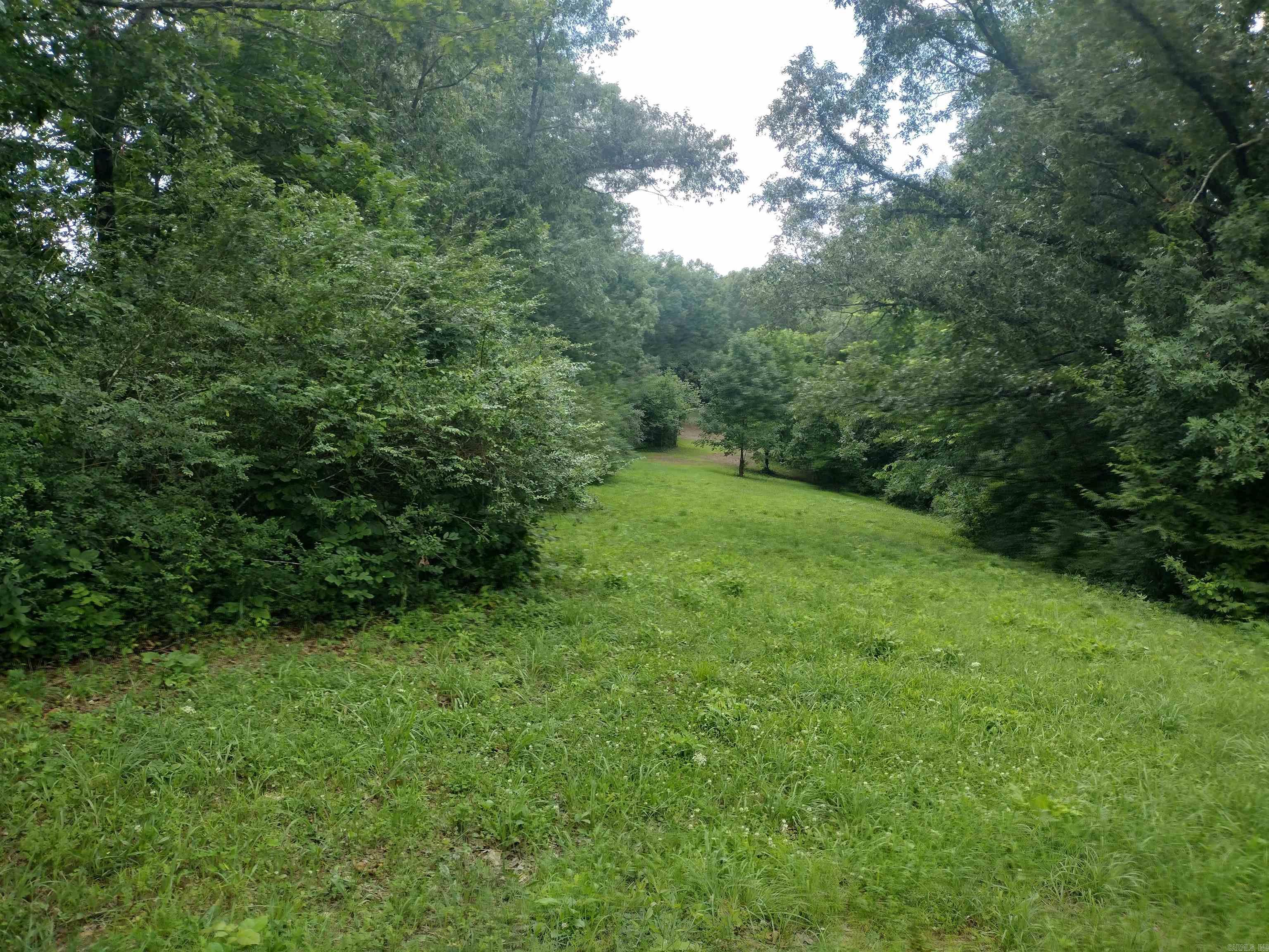 0 Green Meadows Rd Property Photo 3
