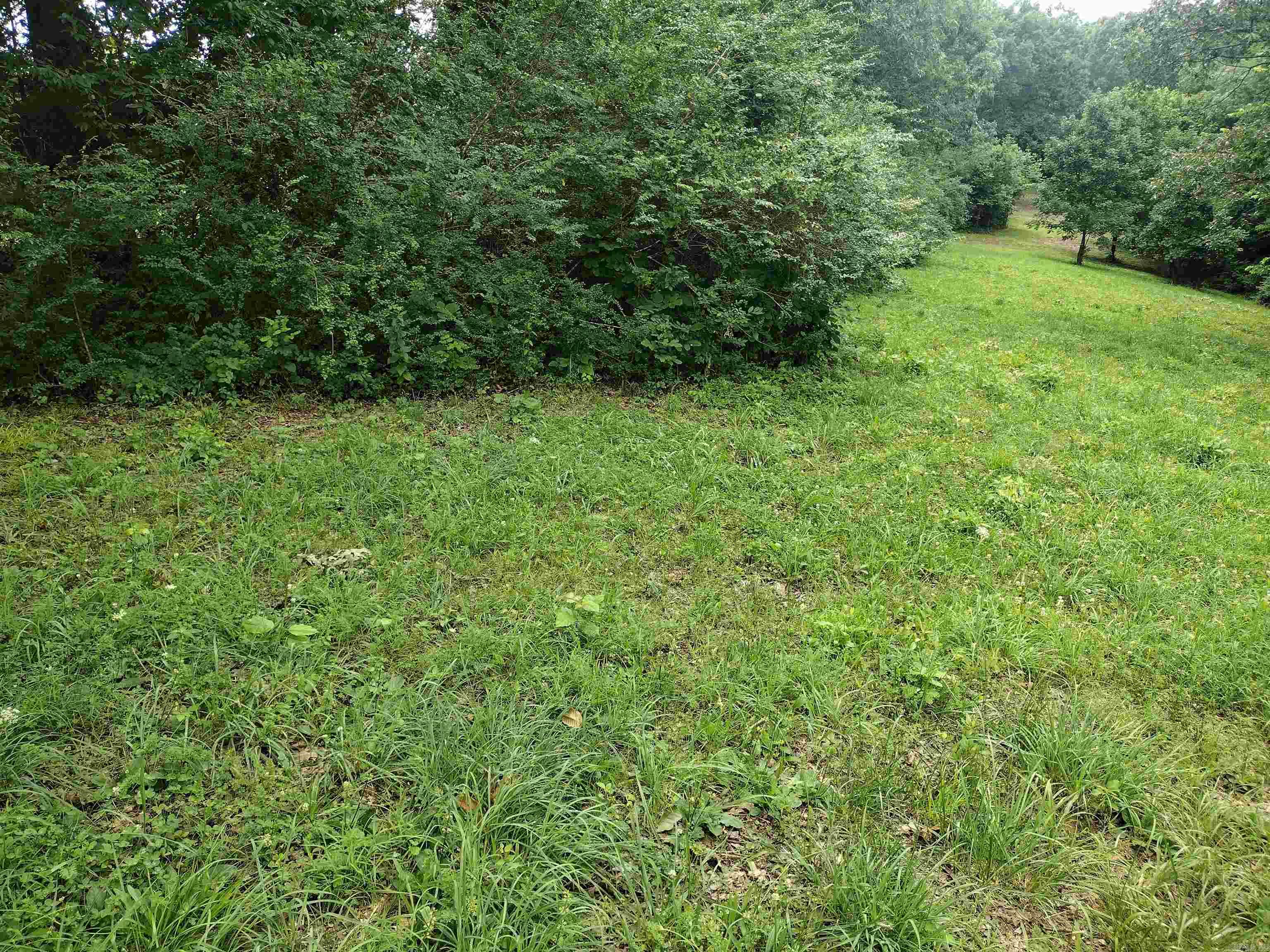 0 Green Meadows Rd Property Photo 4