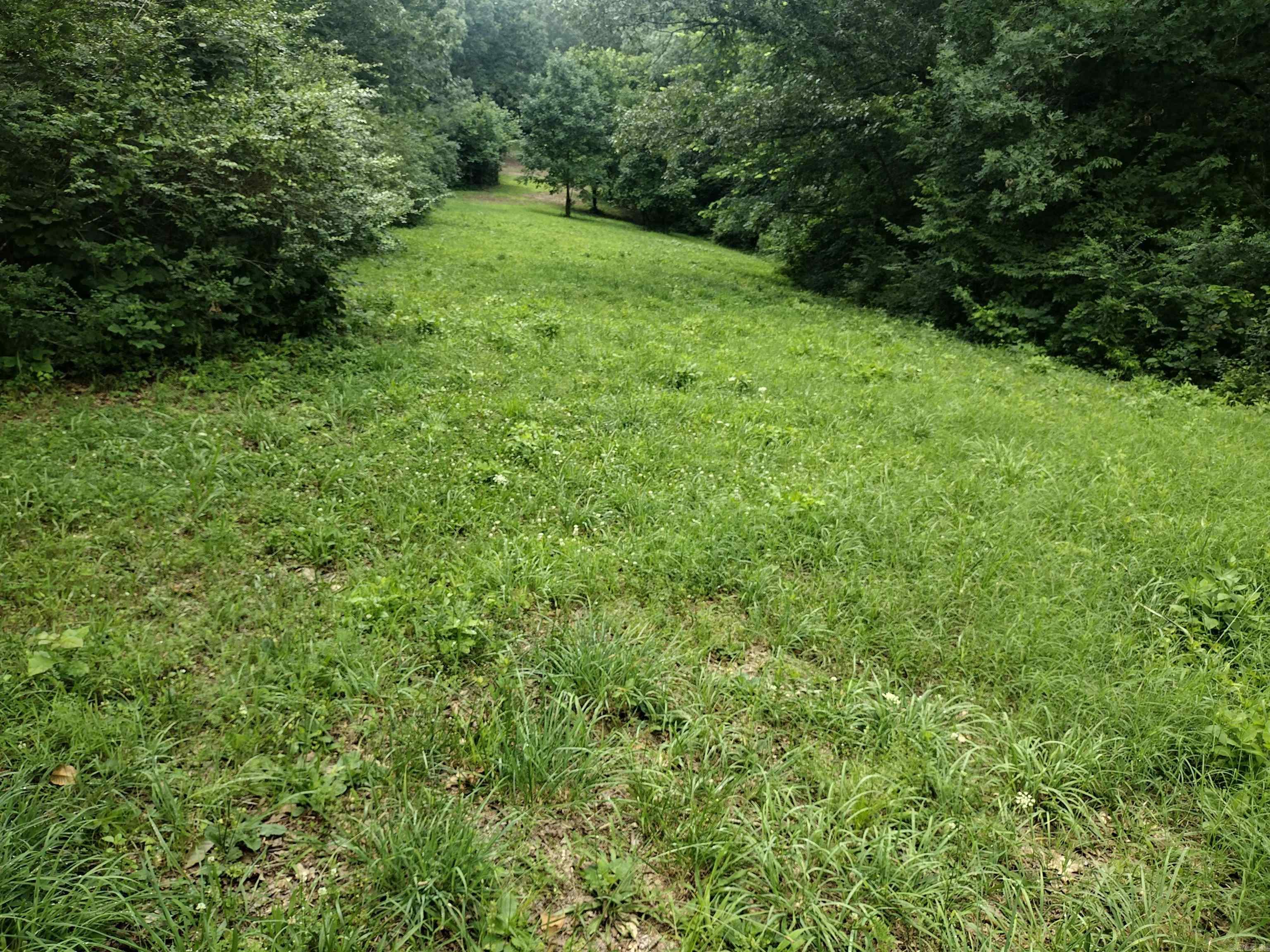 0 Green Meadows Rd Property Photo 5