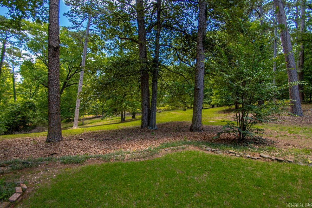 2009 Hot Springs Highway Property Photo 31