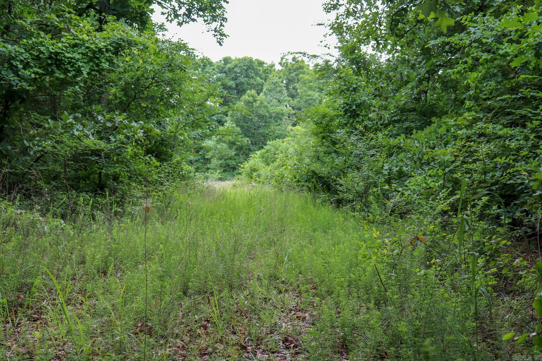 52 Summerfield Creek Road Property Photo 14
