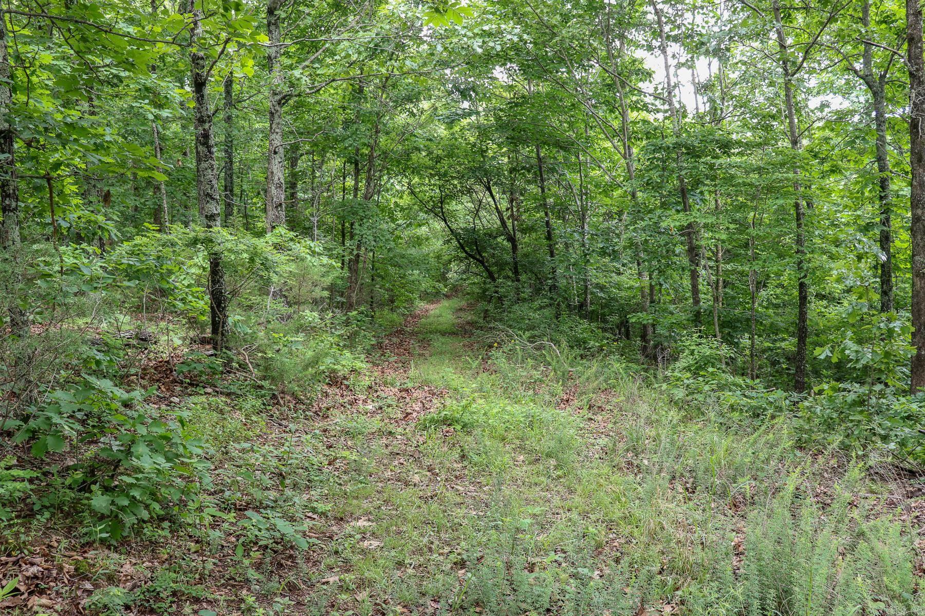 52 Summerfield Creek Road Property Photo 17