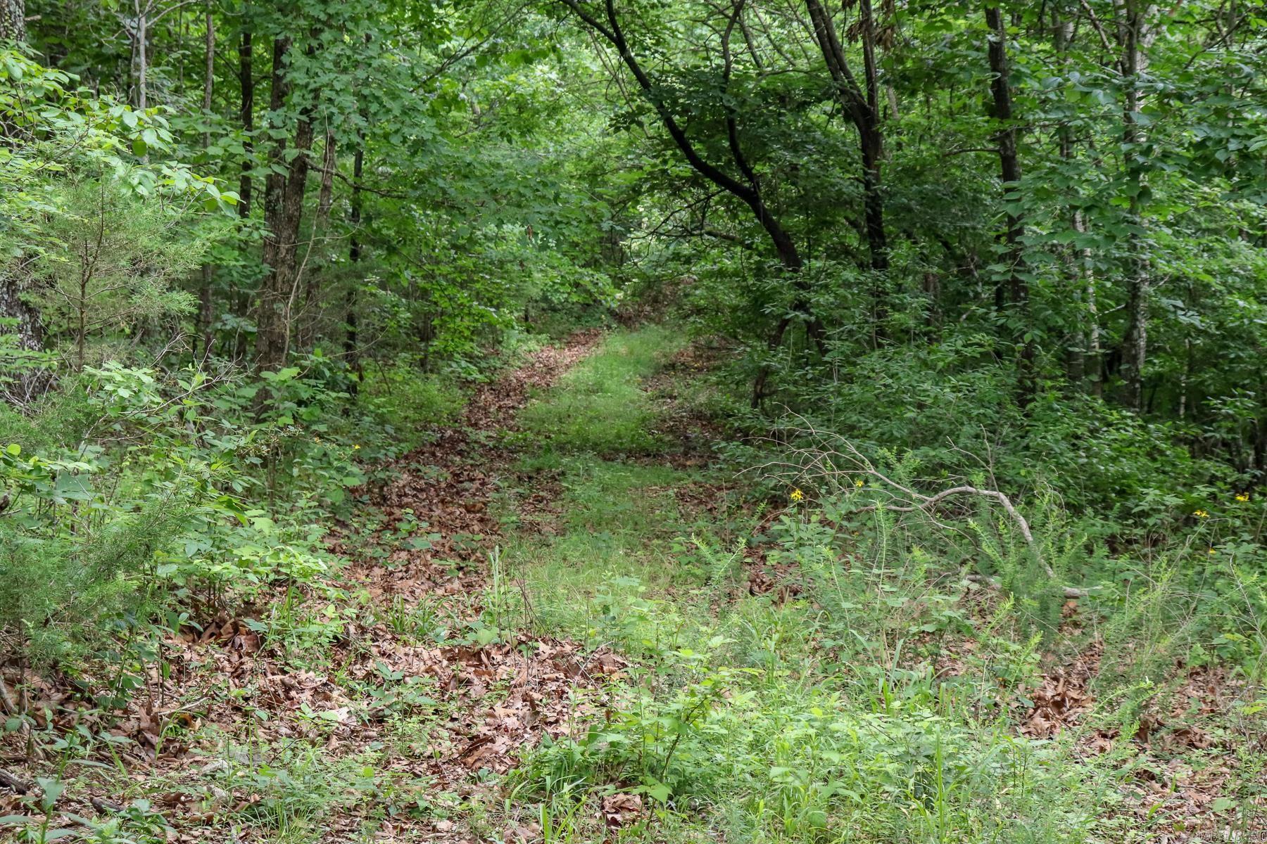 52 Summerfield Creek Road Property Photo 18