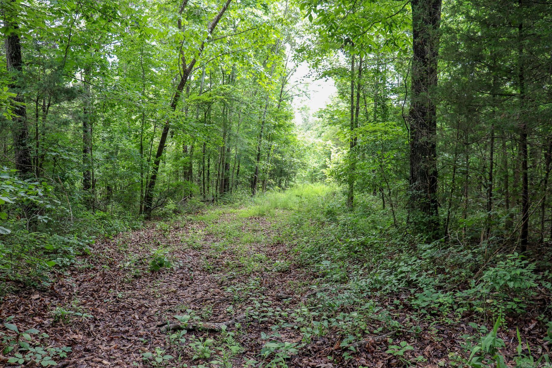 52 Summerfield Creek Road Property Photo 20