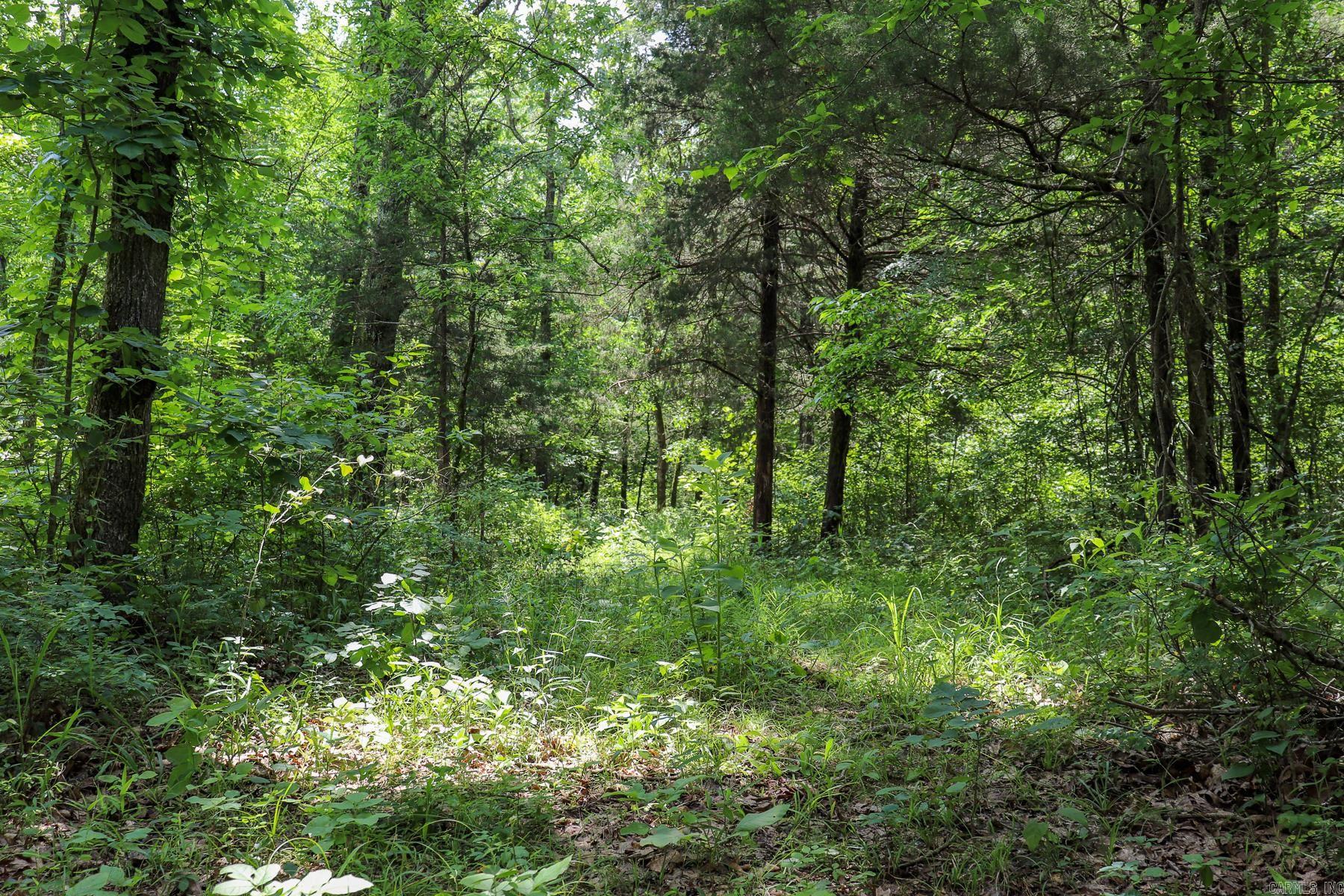 52 Summerfield Creek Road Property Photo 32