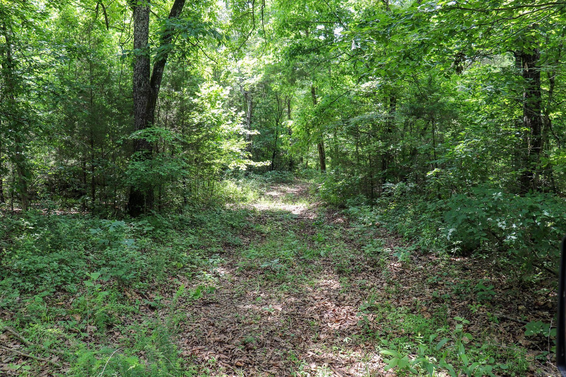 52 Summerfield Creek Road Property Photo 33