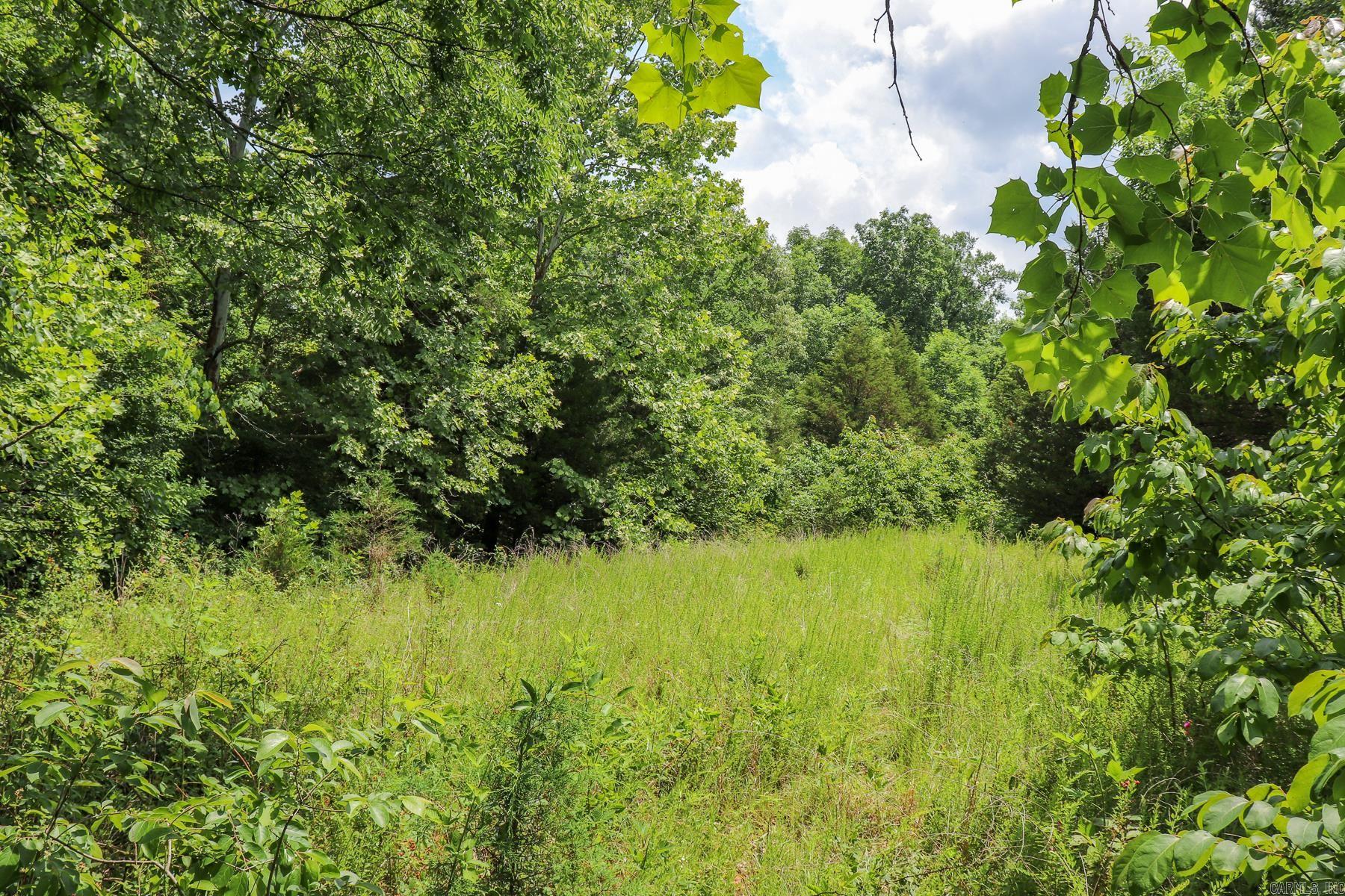 52 Summerfield Creek Road Property Photo 34