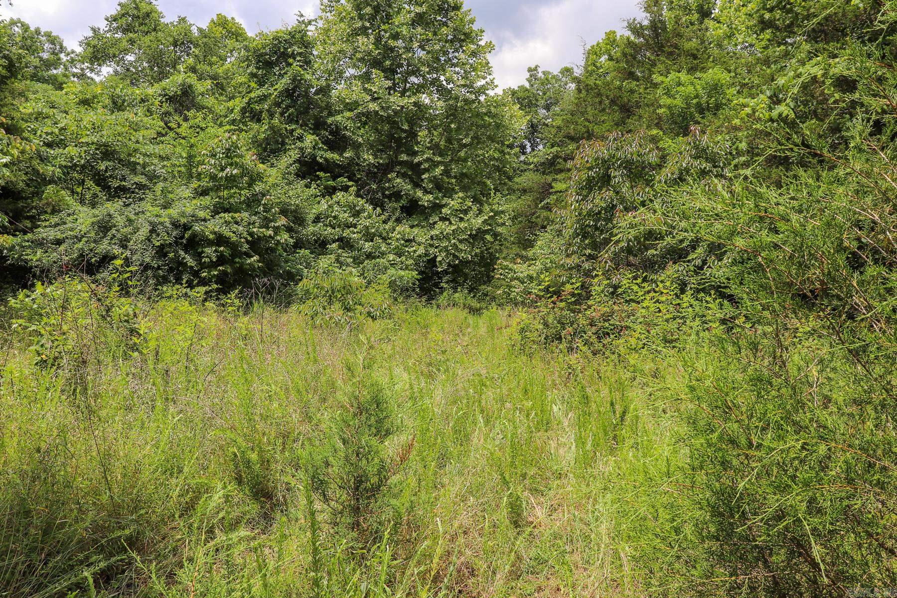 52 Summerfield Creek Road Property Photo 35