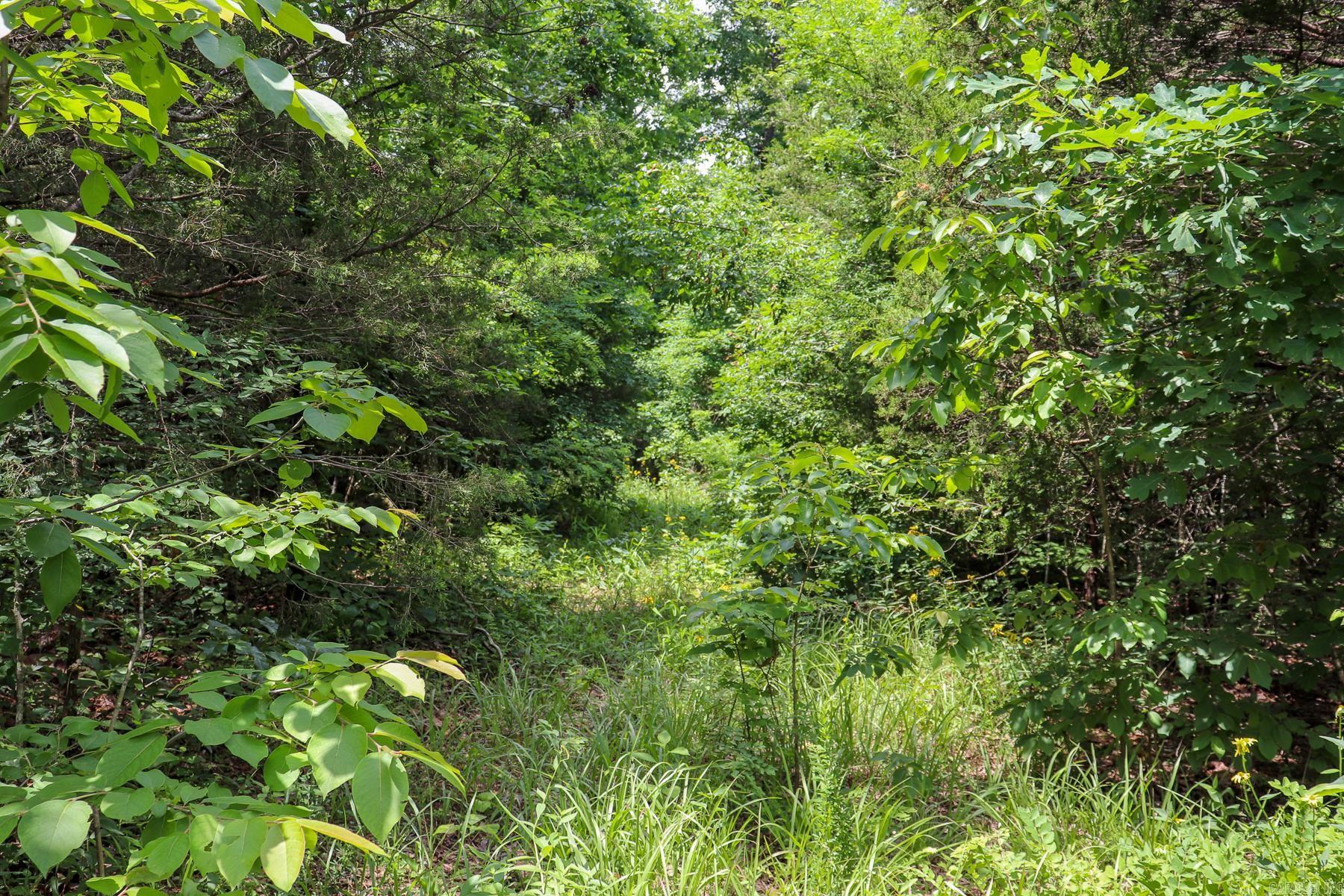 52 Summerfield Creek Road Property Photo 36