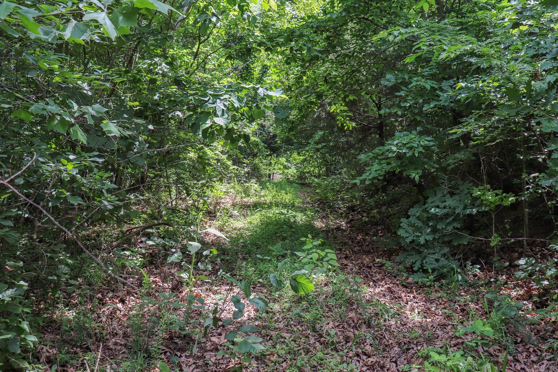 52 Summerfield Creek Road Property Photo 39