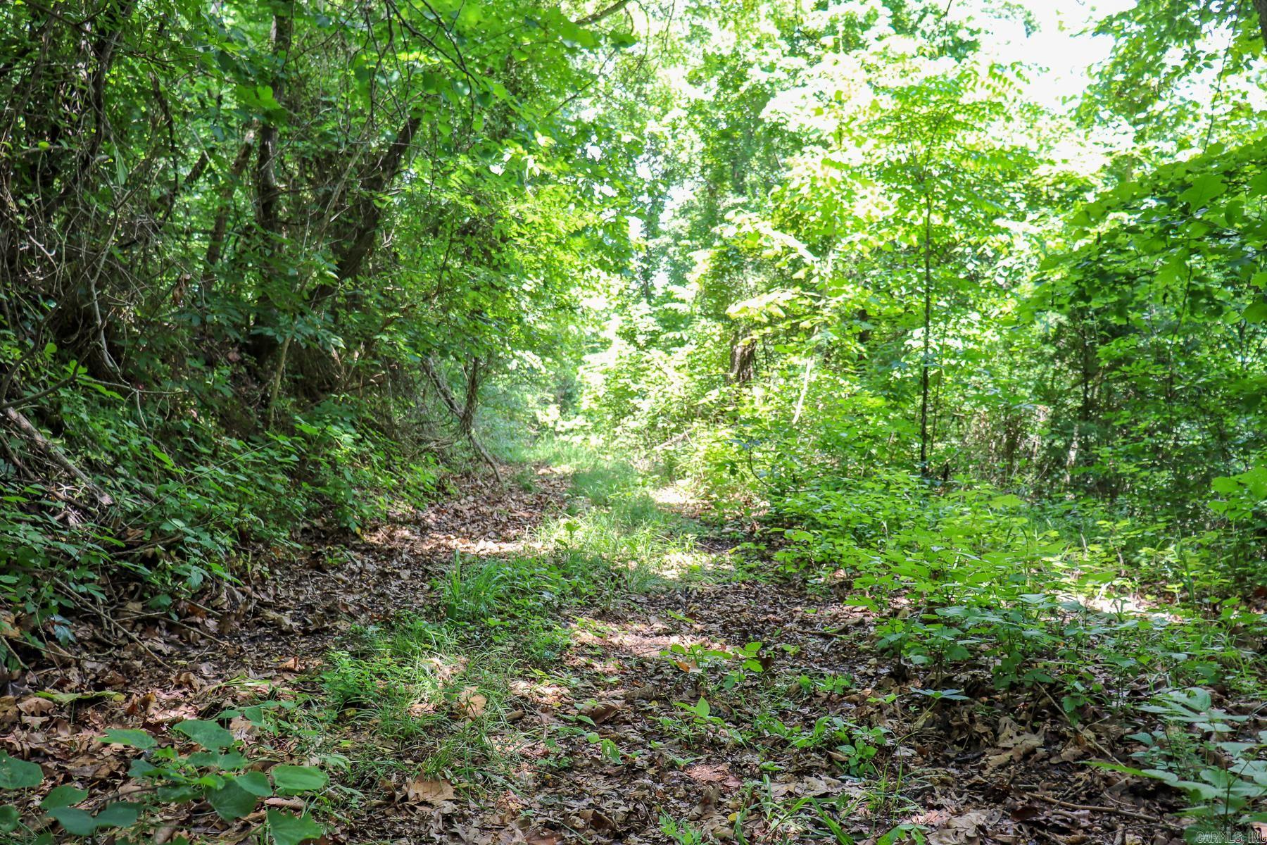 52 Summerfield Creek Road Property Photo 42
