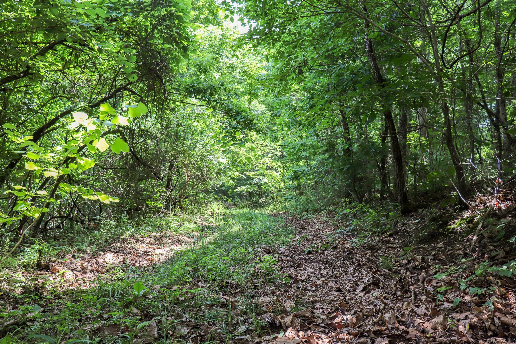 52 Summerfield Creek Road Property Photo 43