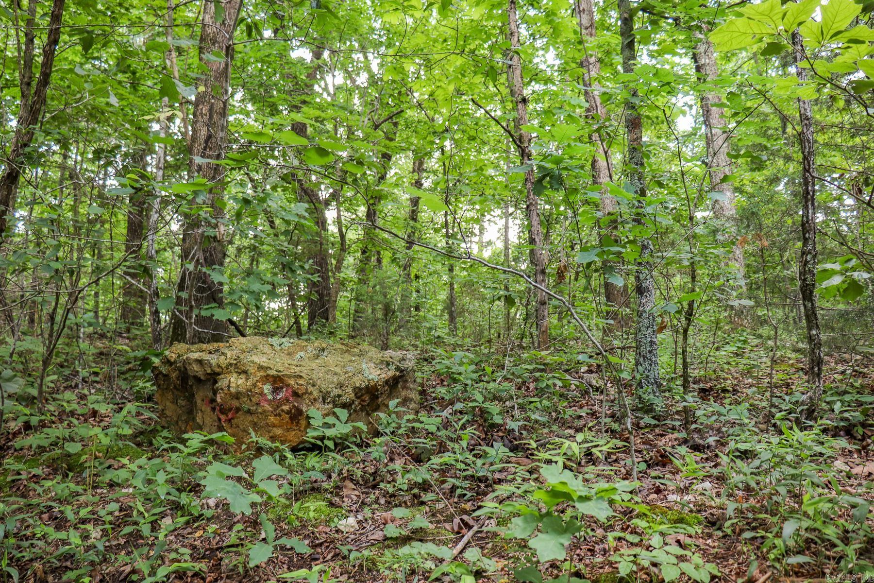 52 Summerfield Creek Road Property Photo 45