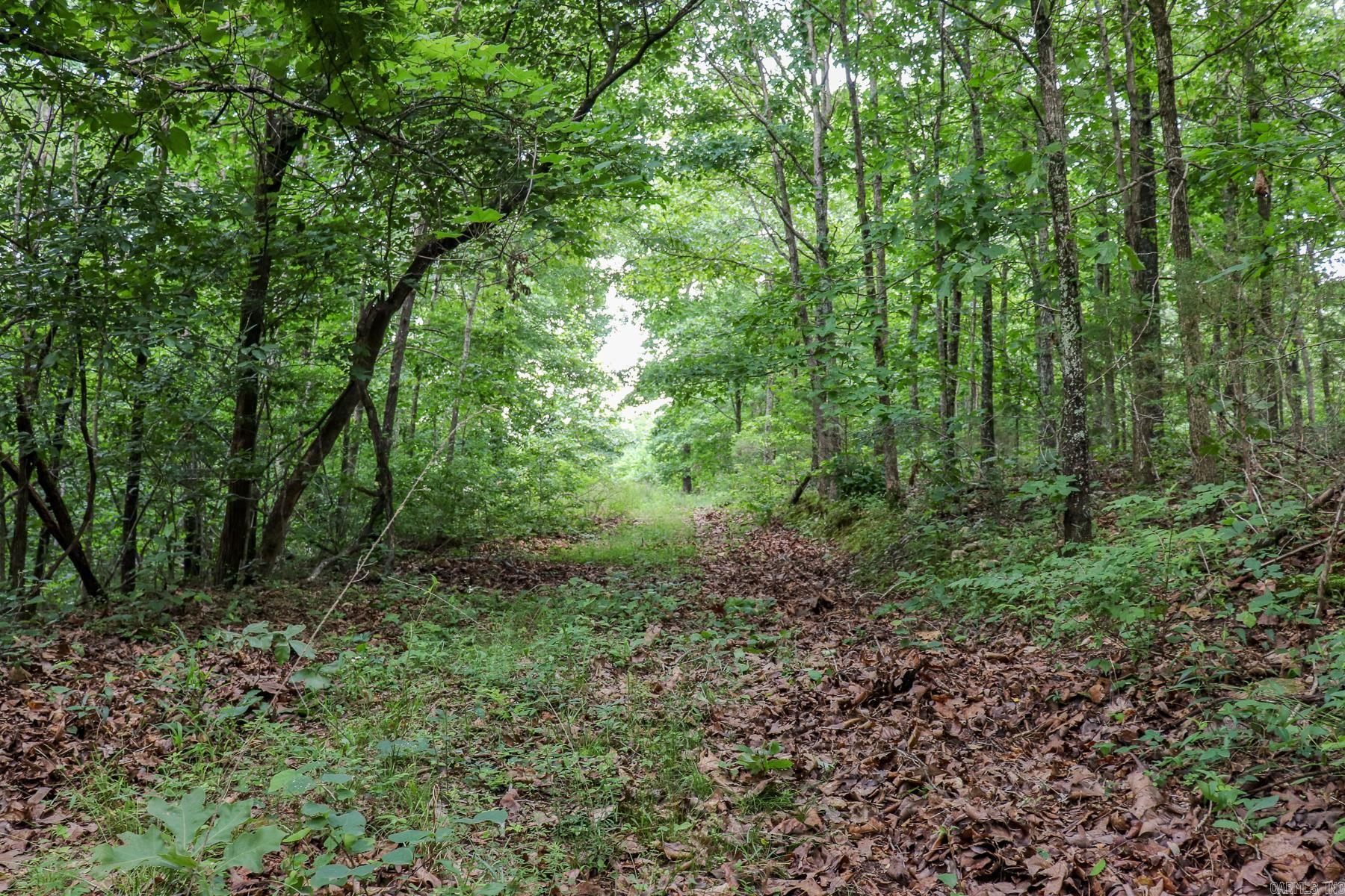 52 Summerfield Creek Road Property Photo 46