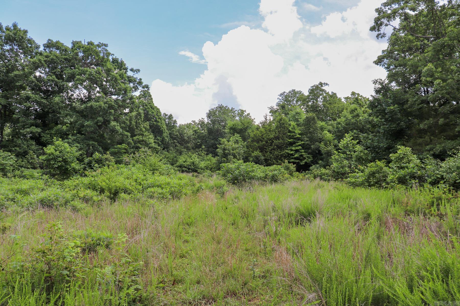 52 Summerfield Creek Road Property Photo 47