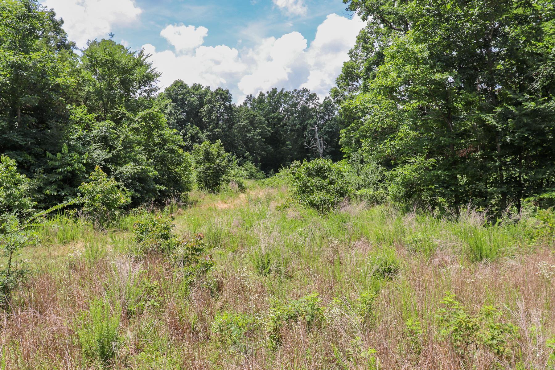 52 Summerfield Creek Road Property Photo 48