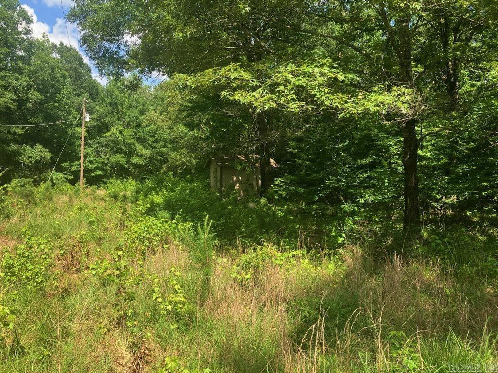 Tbd Polk Road 69 Property Photo 6