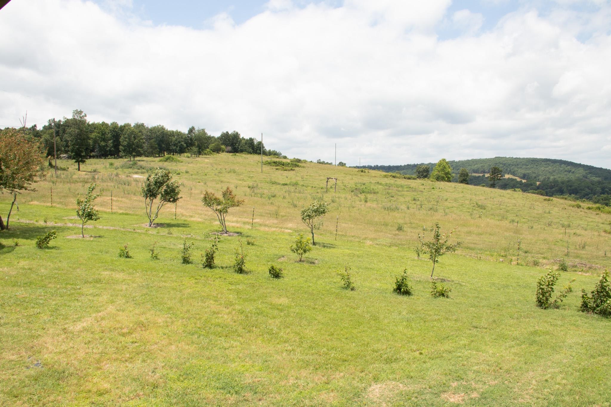 4770 Highway 9 Property Photo 29