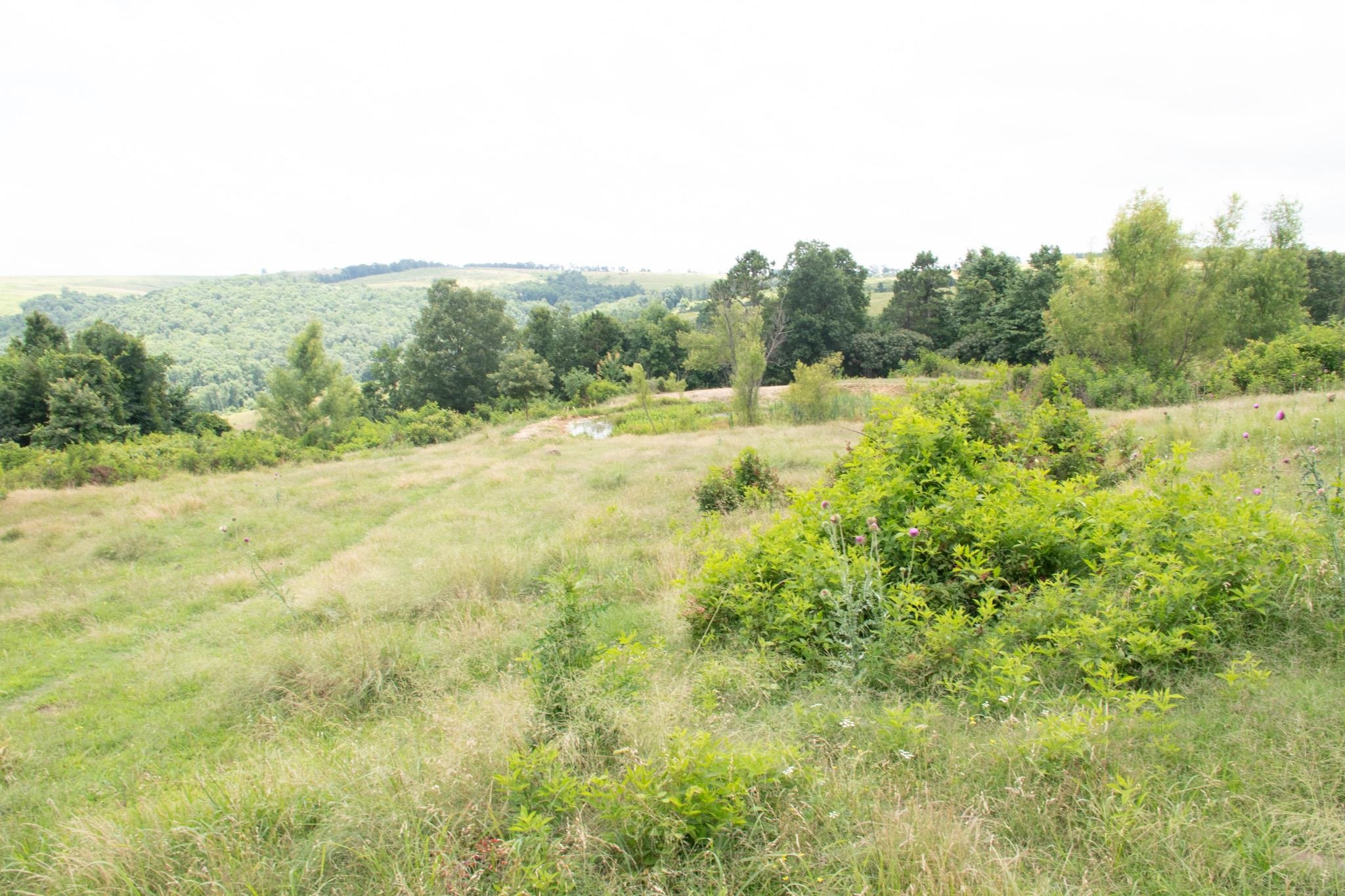 4770 Highway 9 Property Photo 39
