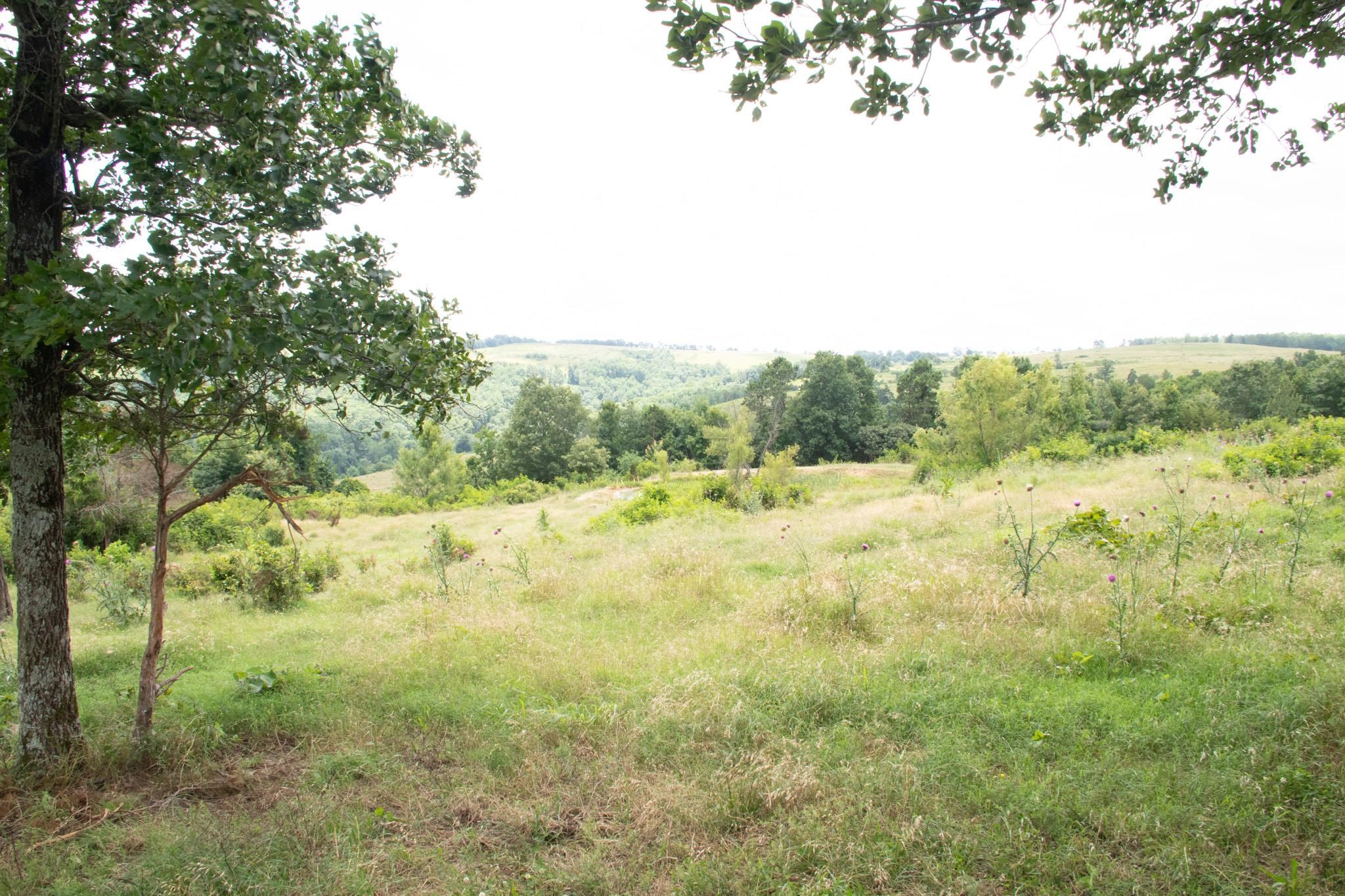 4770 Highway 9 Property Photo 40