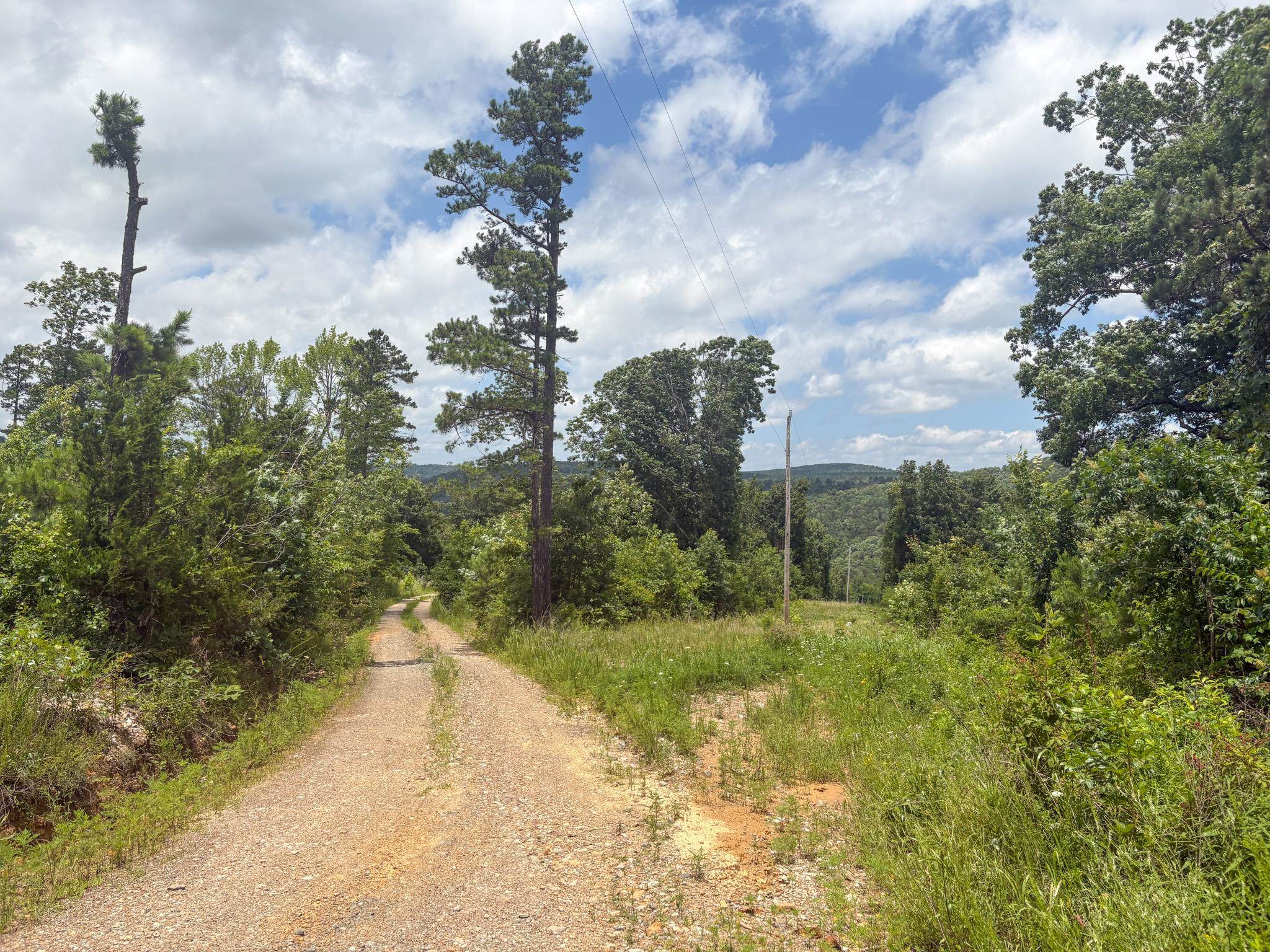 4770 Highway 9 Property Photo 41