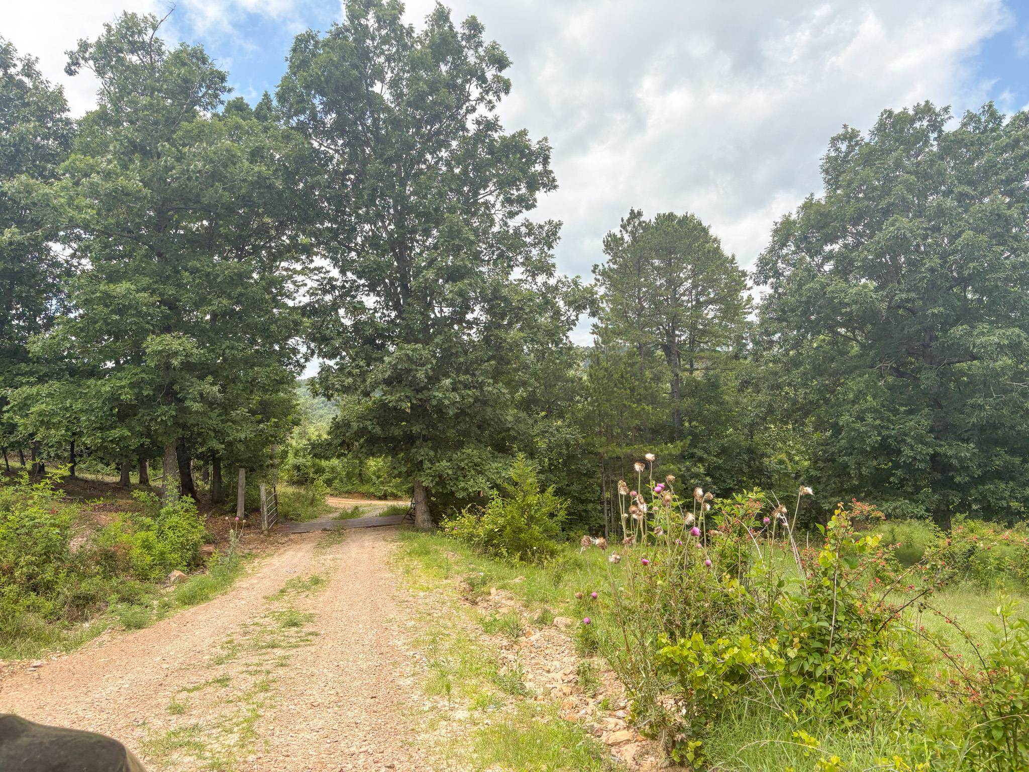4770 Highway 9 Property Photo 42