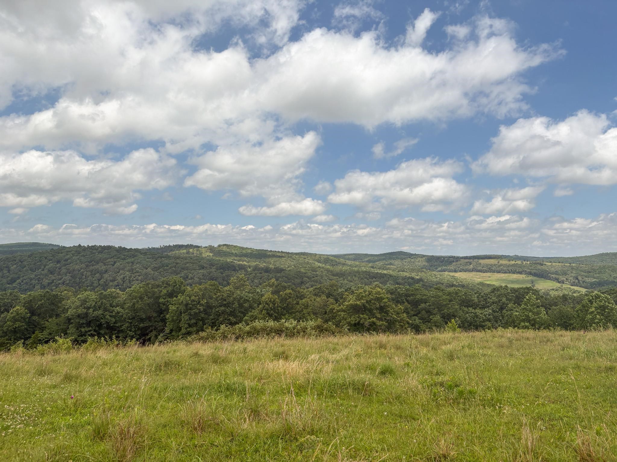 4770 Highway 9 Property Photo 43