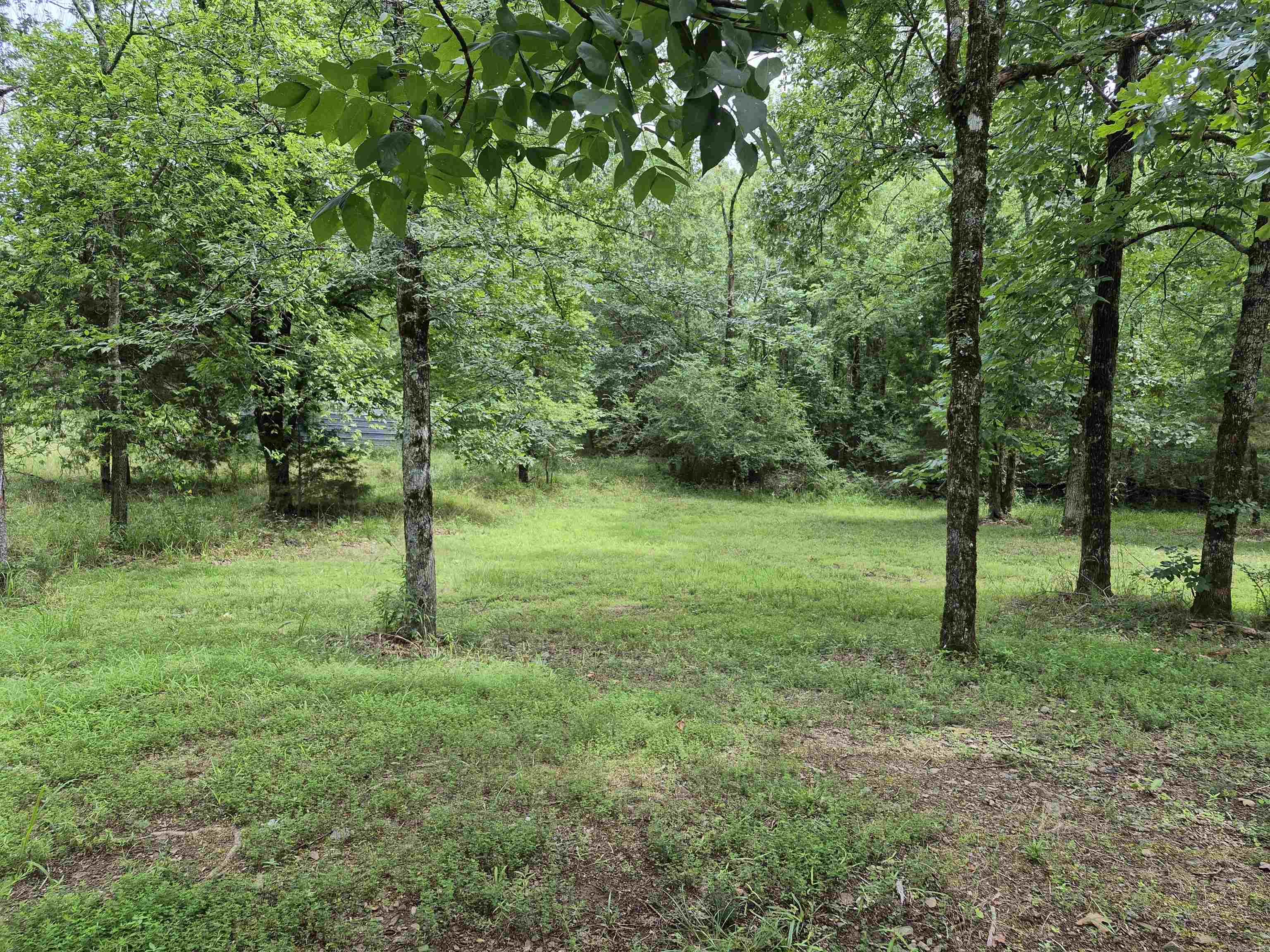 4051 Amity Road Property Photo 5