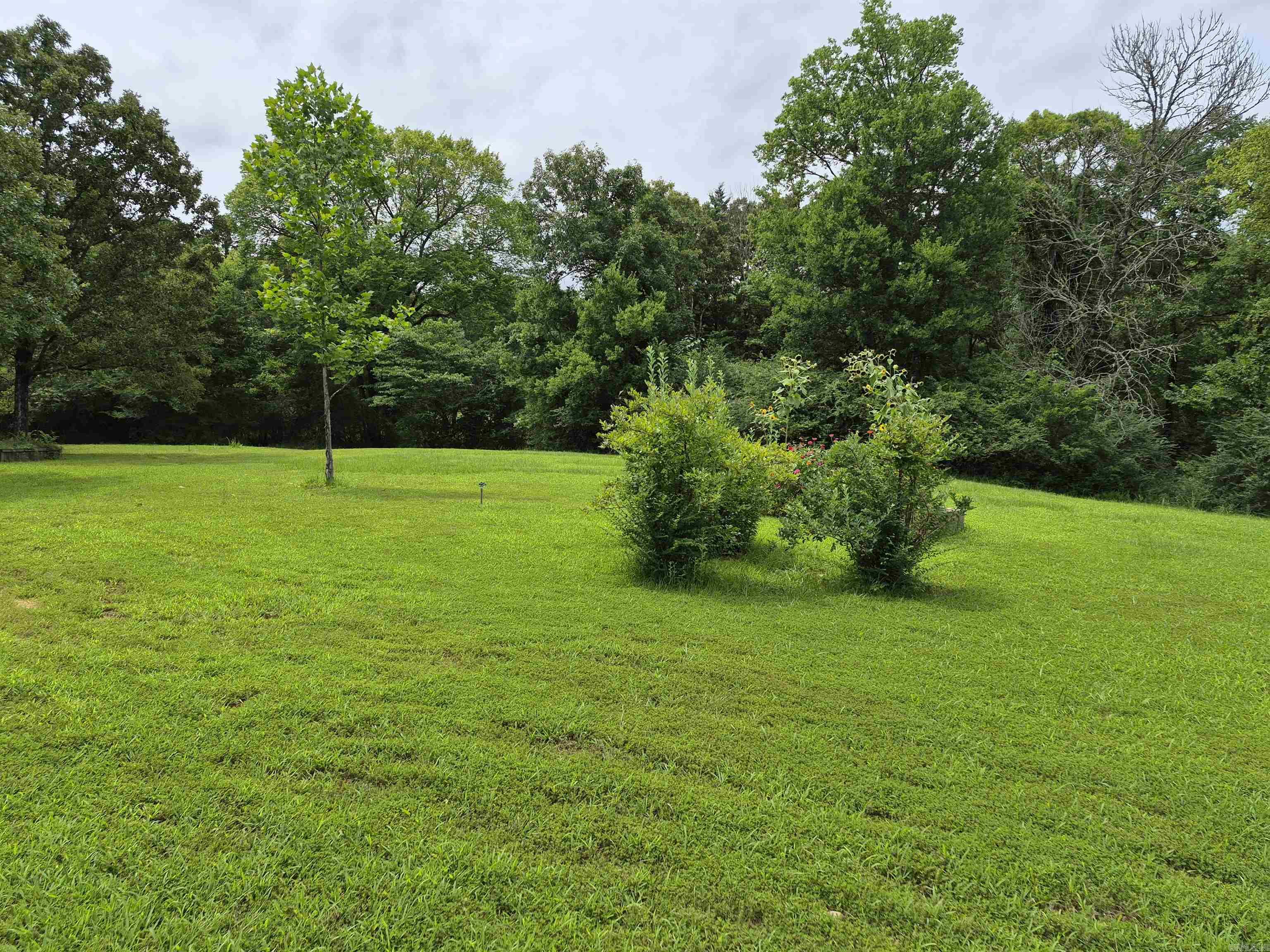 4051 Amity Road Property Photo 6