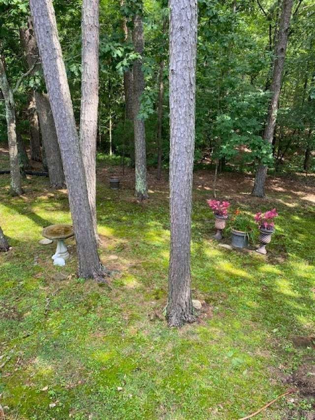 8 Lindsay Lane Property Photo 23