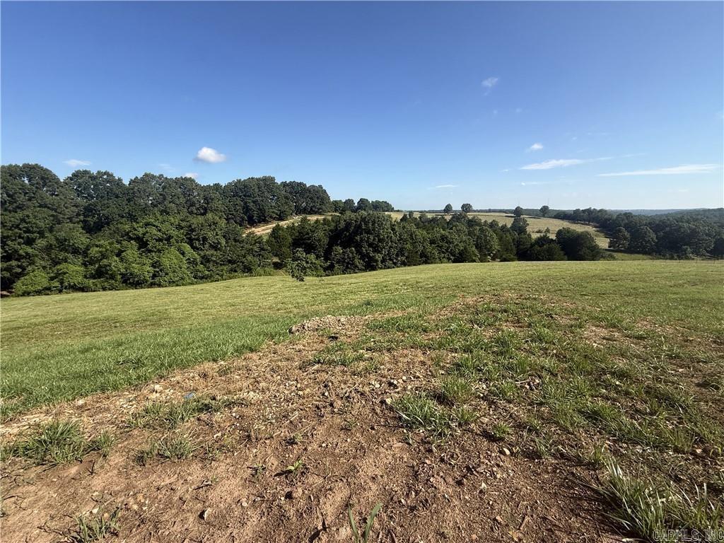 55 Princess Trail Road Property Photo 7