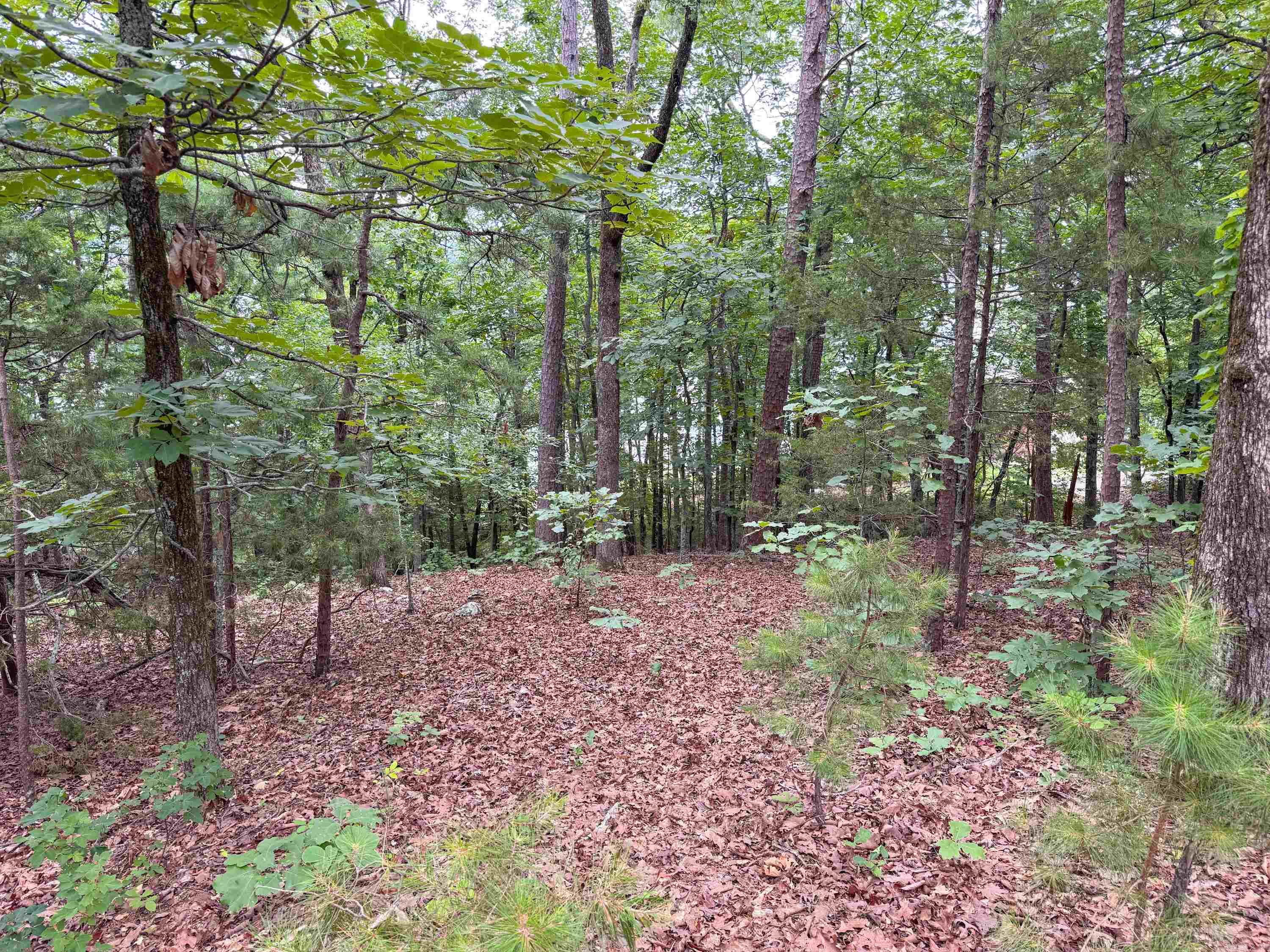 609 Lakefront Road Property Photo 19