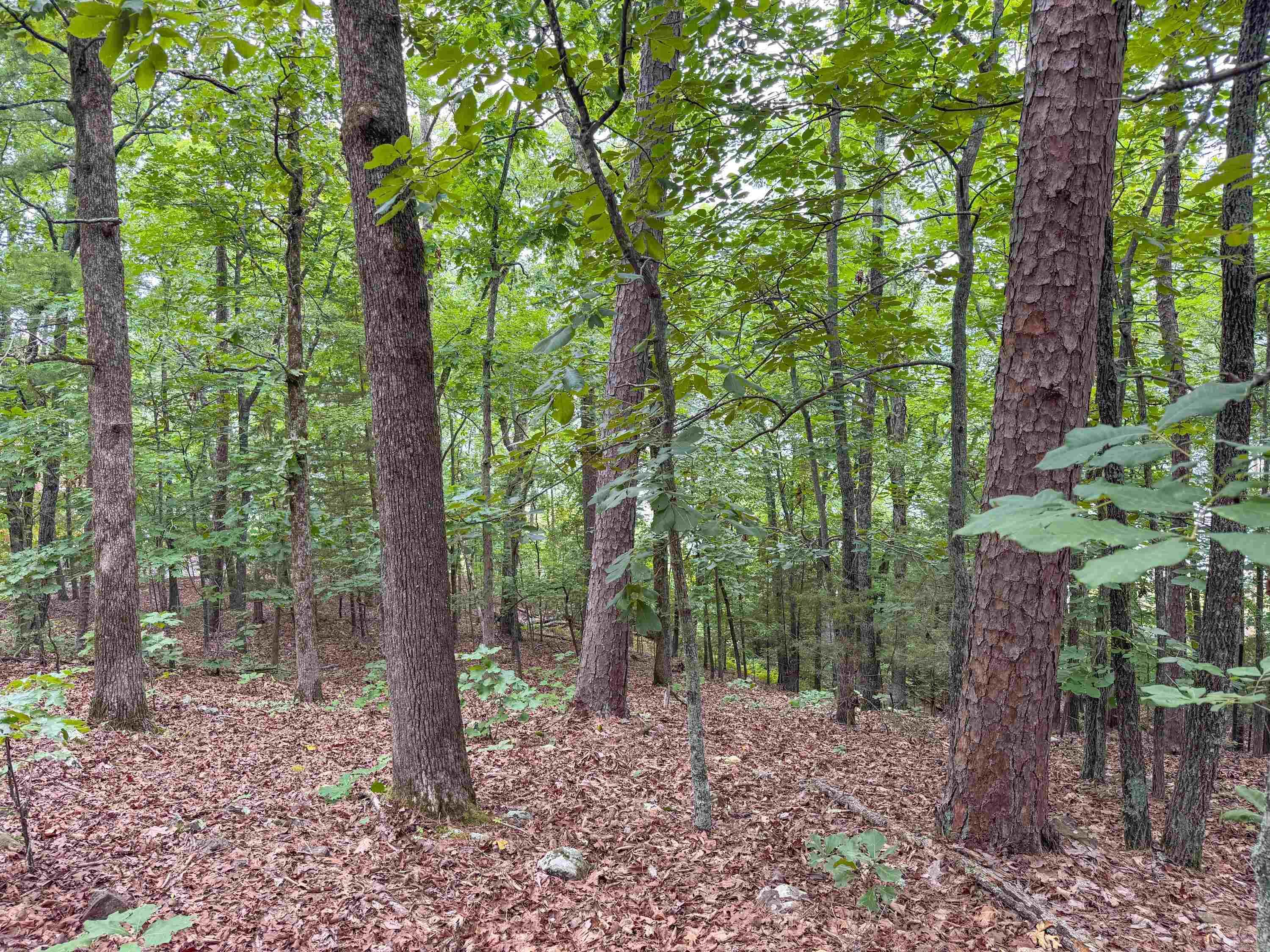 609 Lakefront Road Property Photo 20