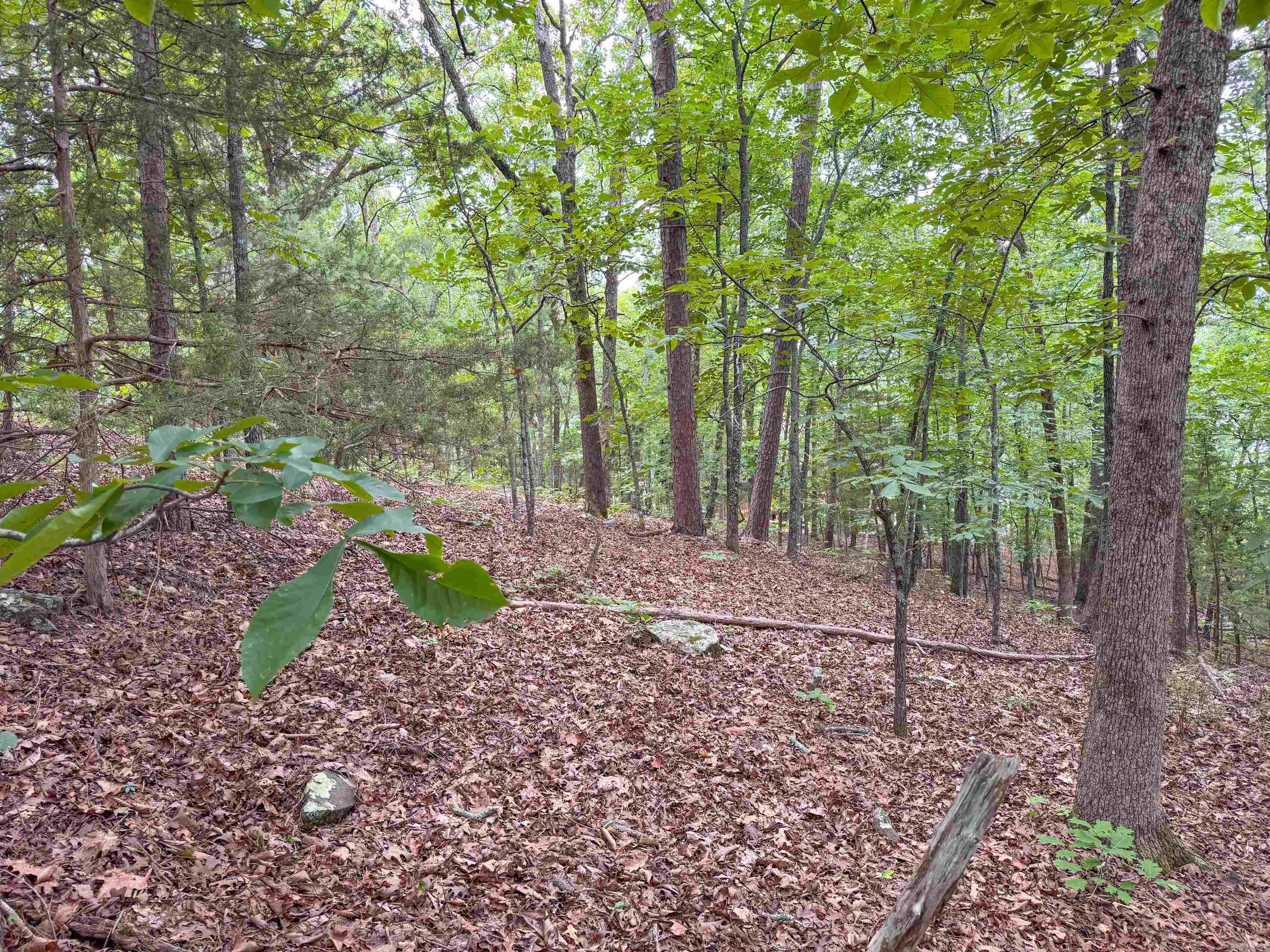 609 Lakefront Road Property Photo 21