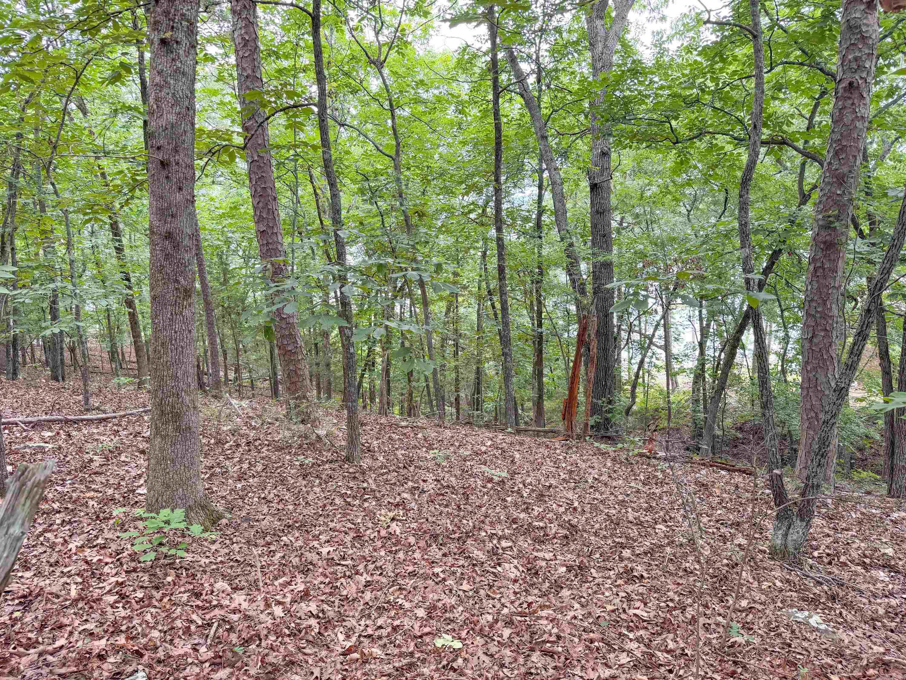 609 Lakefront Road Property Photo 22