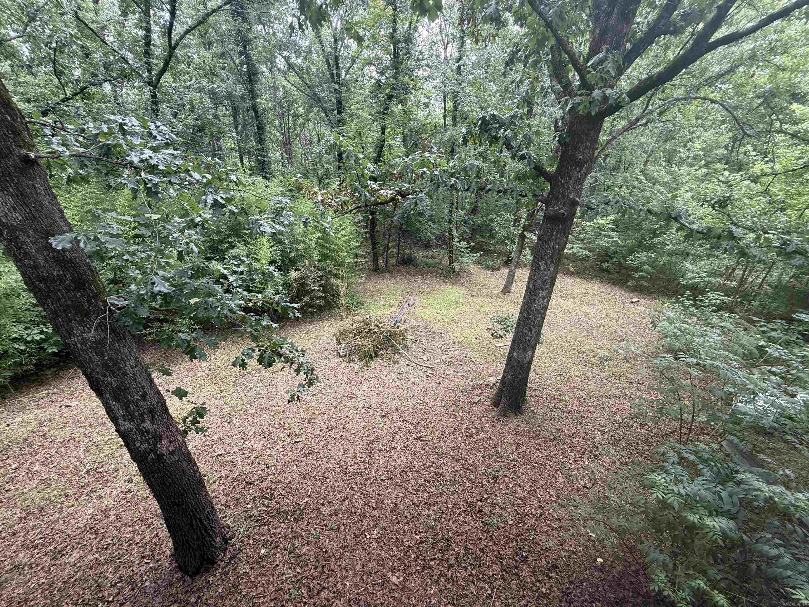 230 Riverview Drive Property Photo 36