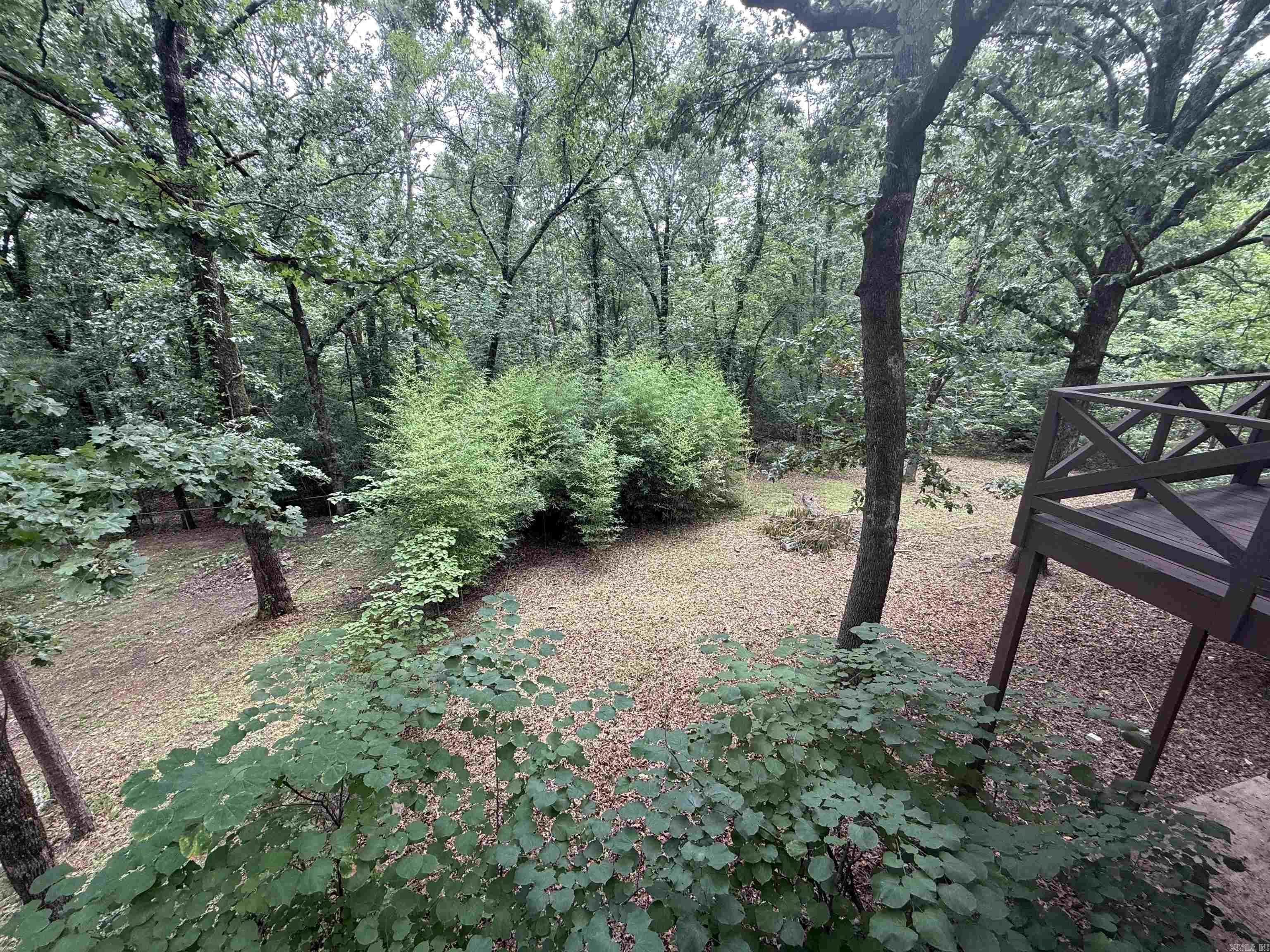 230 Riverview Drive Property Photo 43