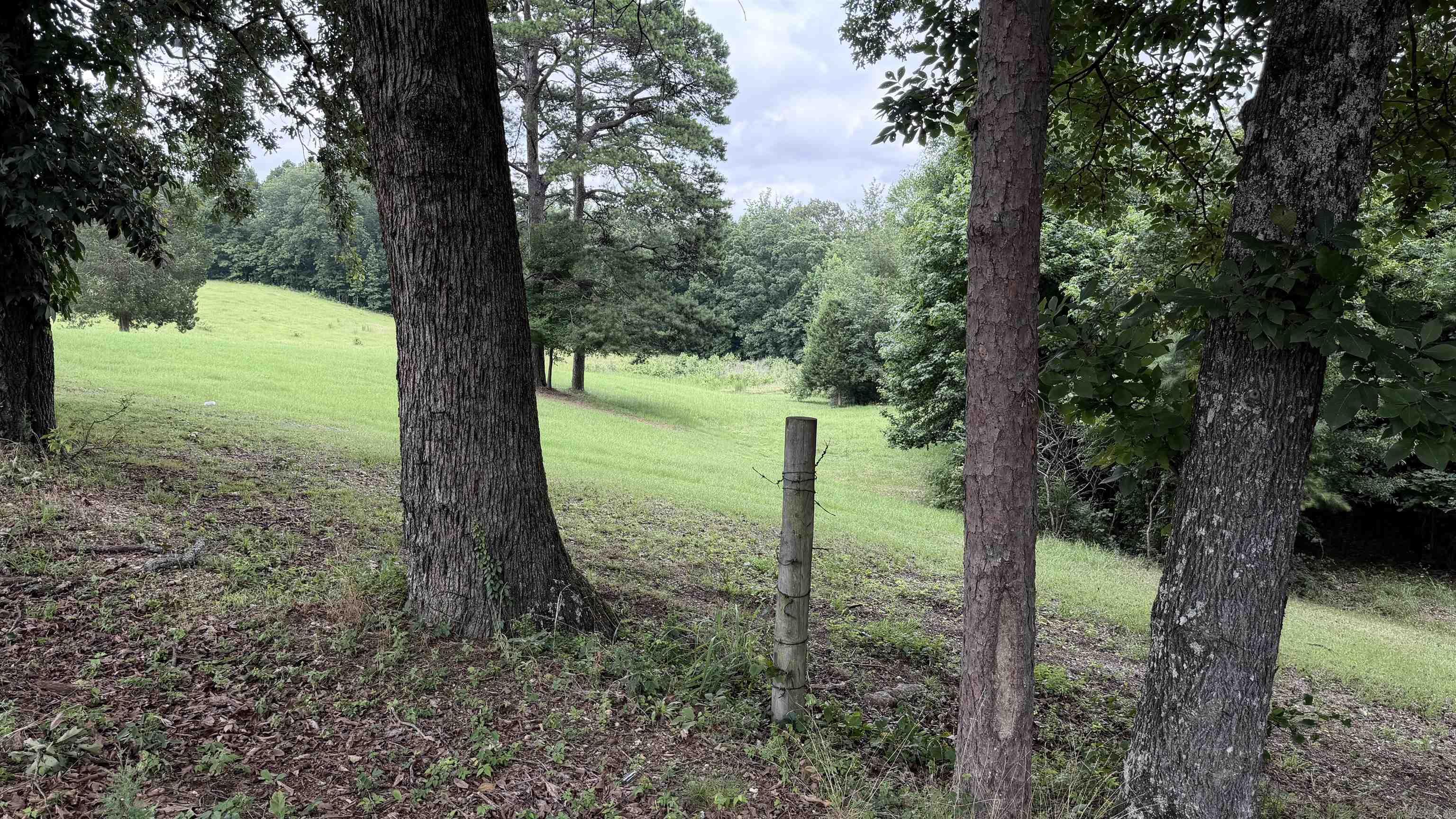 000 Point View Road Property Photo 4