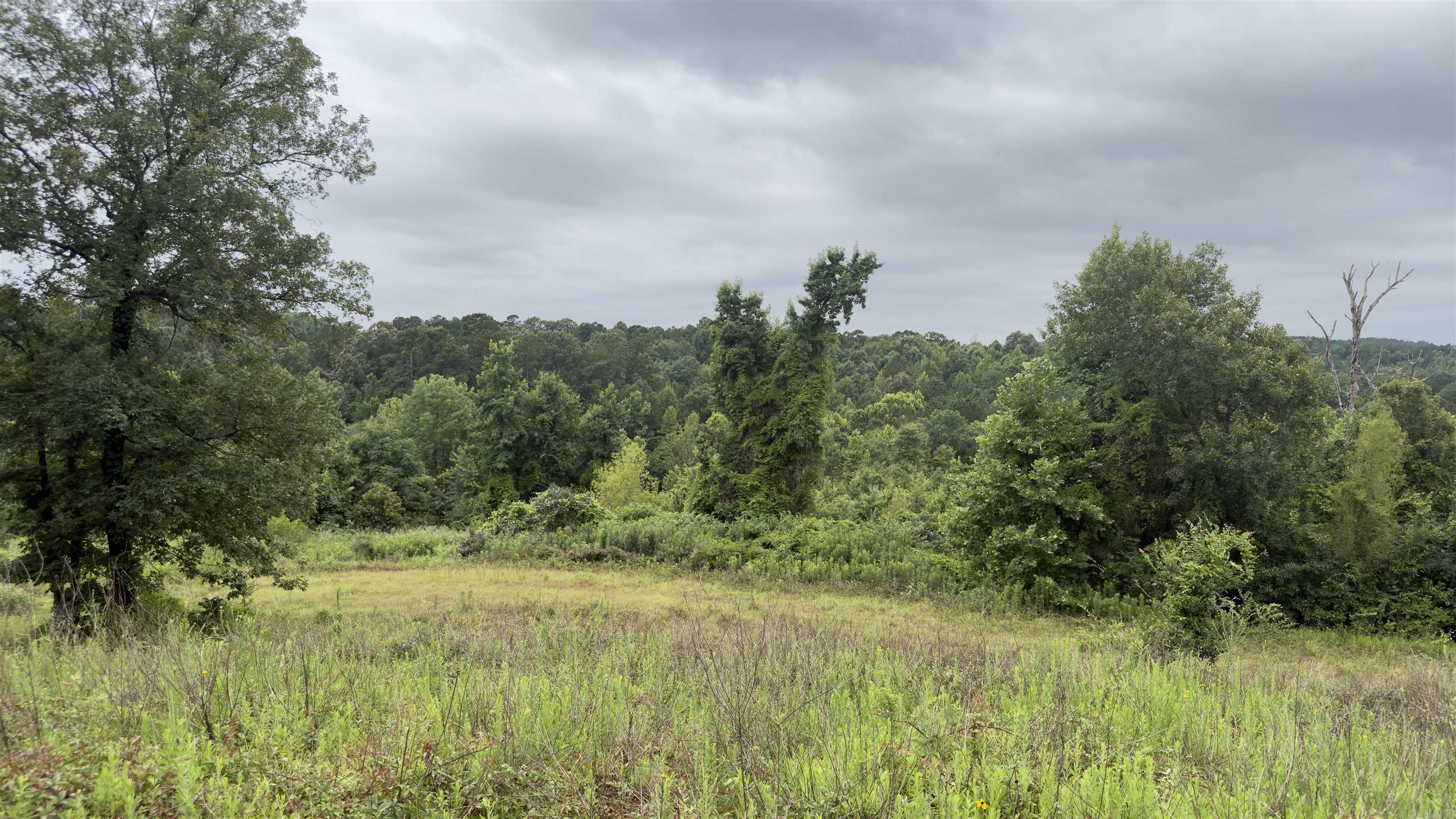 80 Acres Hwy 41 Property Photo 1