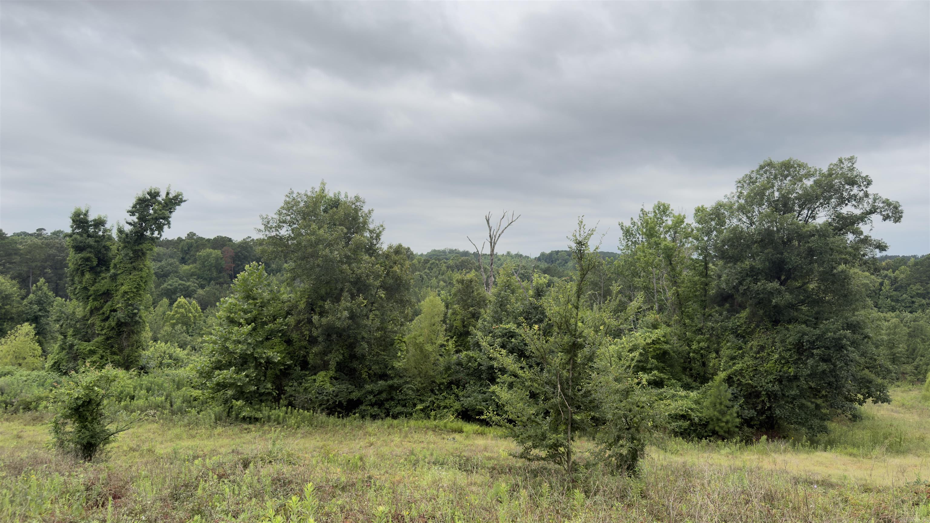 80 Acres Hwy 41 Property Photo 3