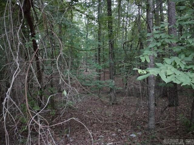 9 Bosque Lane Property Photo 2