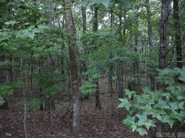9 Bosque Lane Property Photo 3