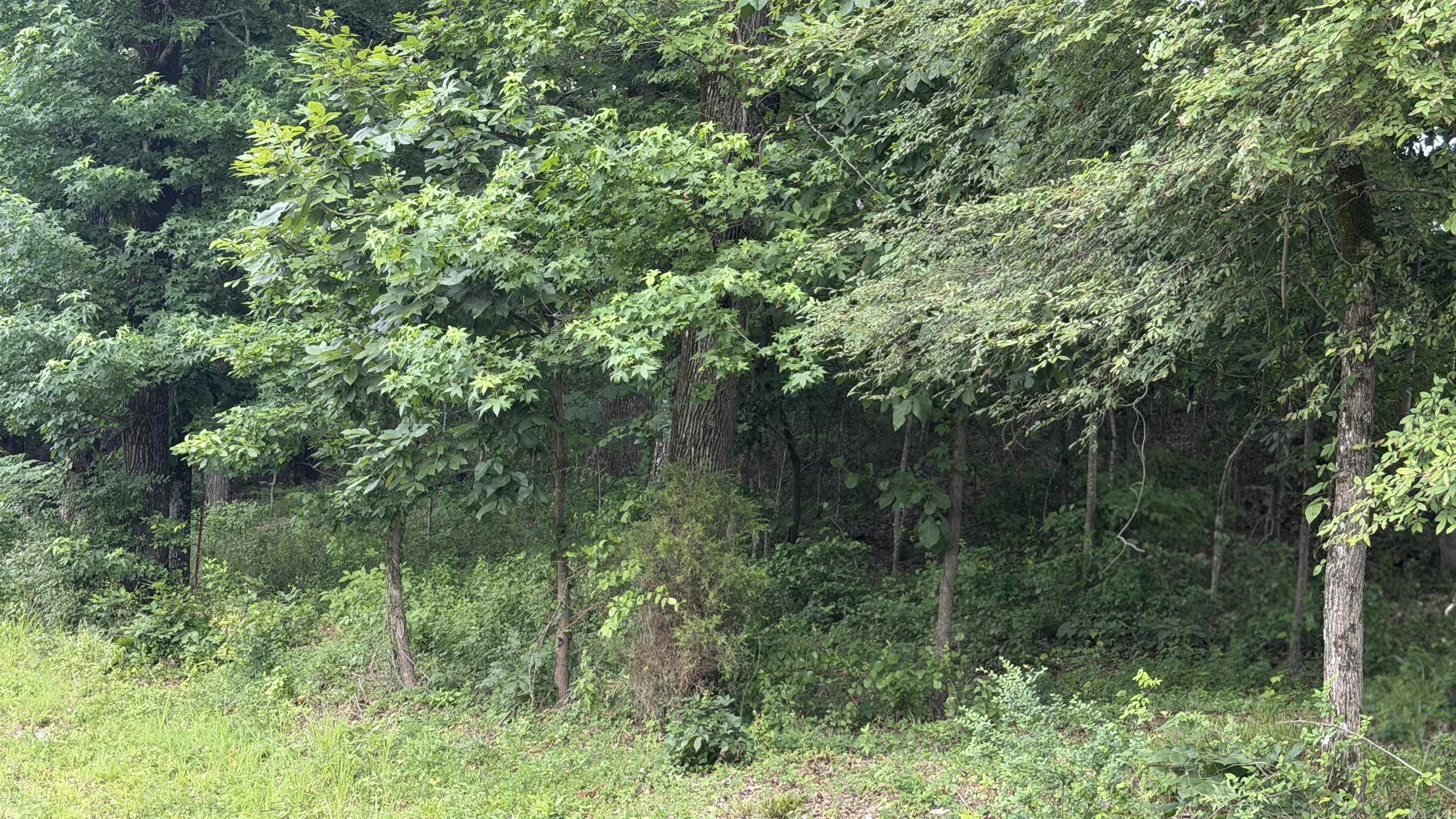000 Buffington Road Property Photo 13