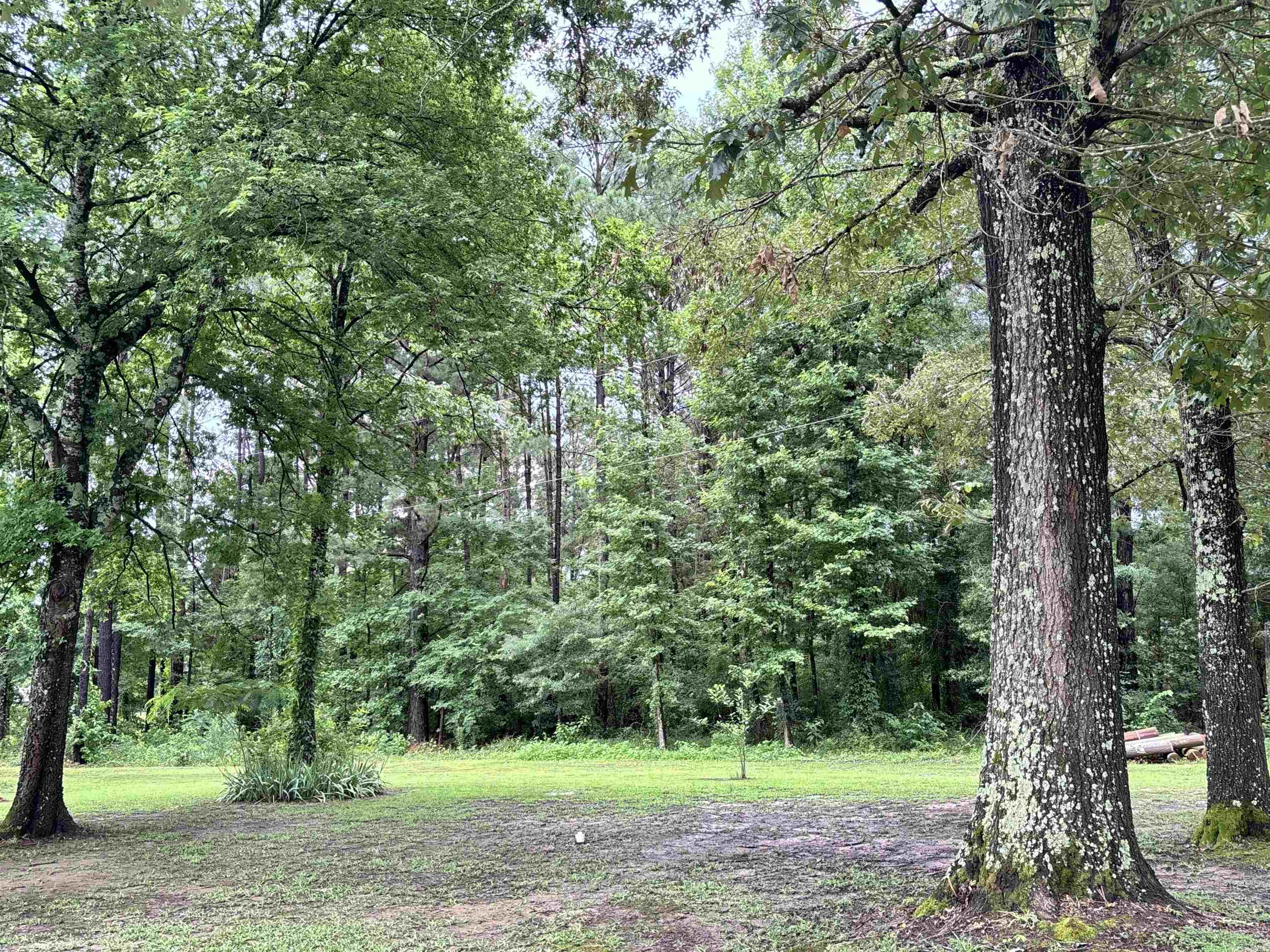 202 N Georgia Property Photo 27