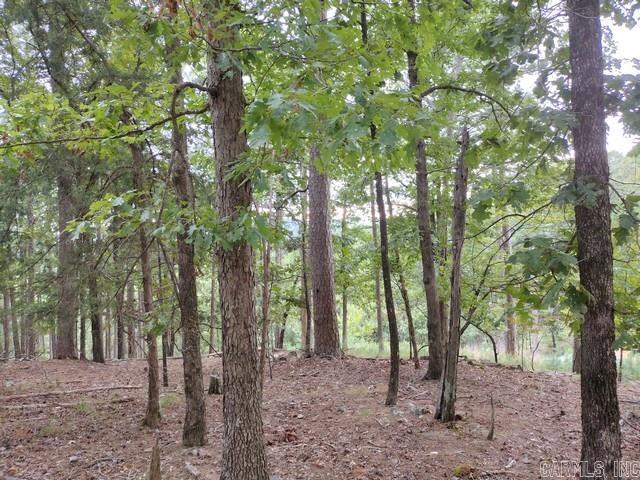 85 Mesero Way Property Photo 1