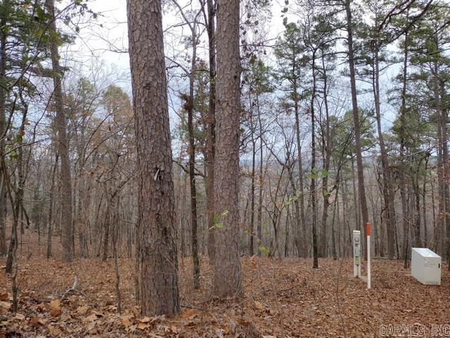 102 Mesero Way Property Photo 3