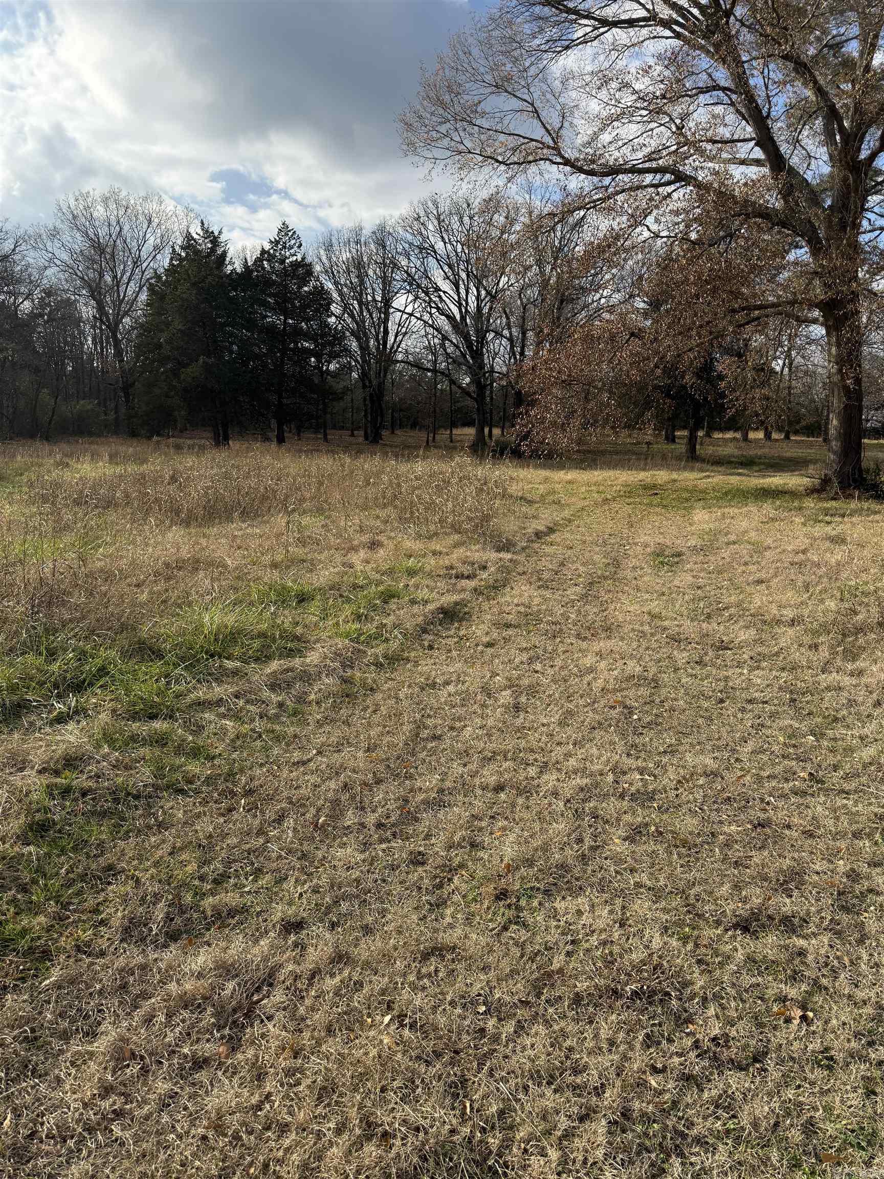 00 Hwy 321 Property Photo 1