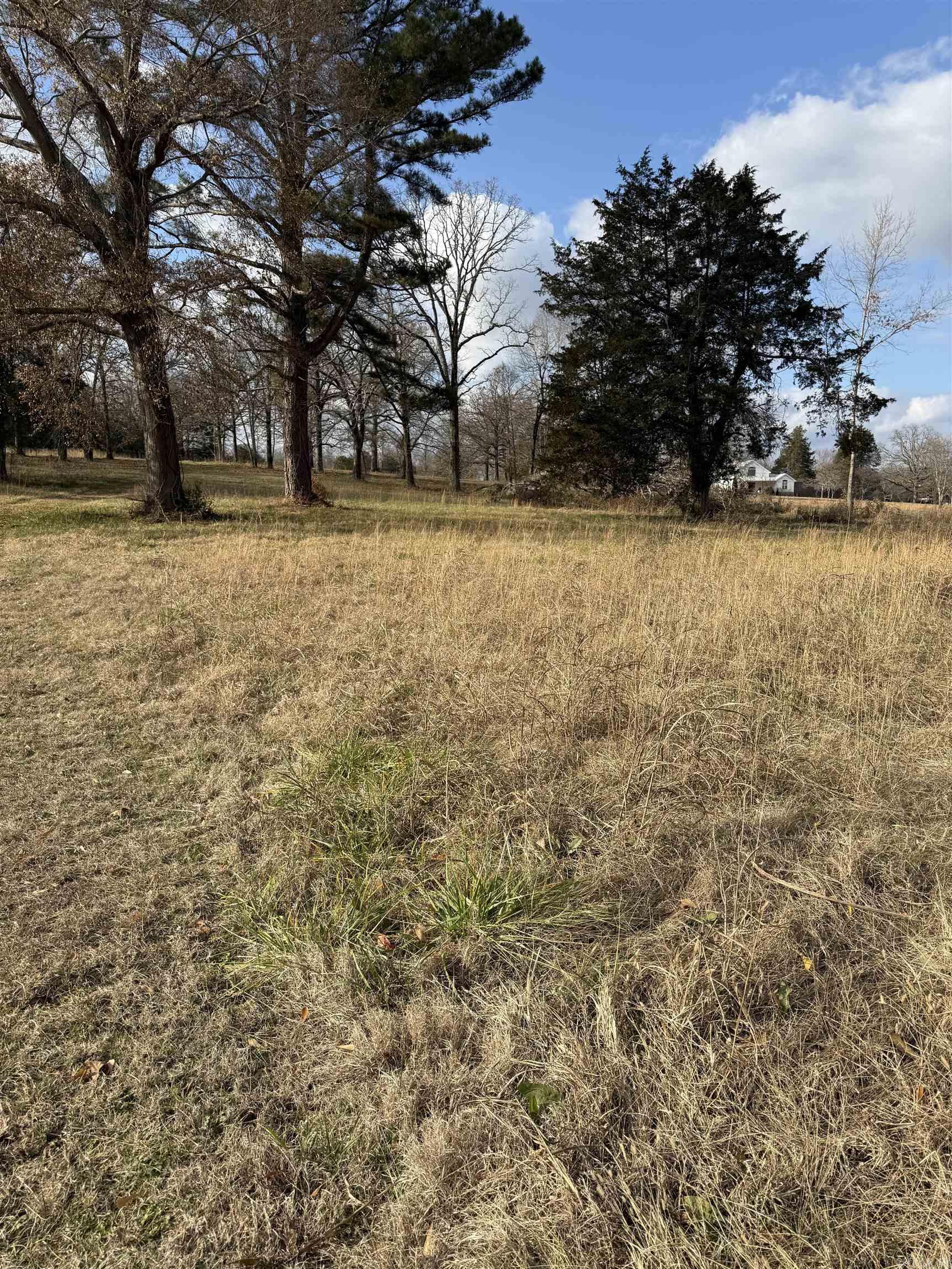 00 Hwy 321 Property Photo 2