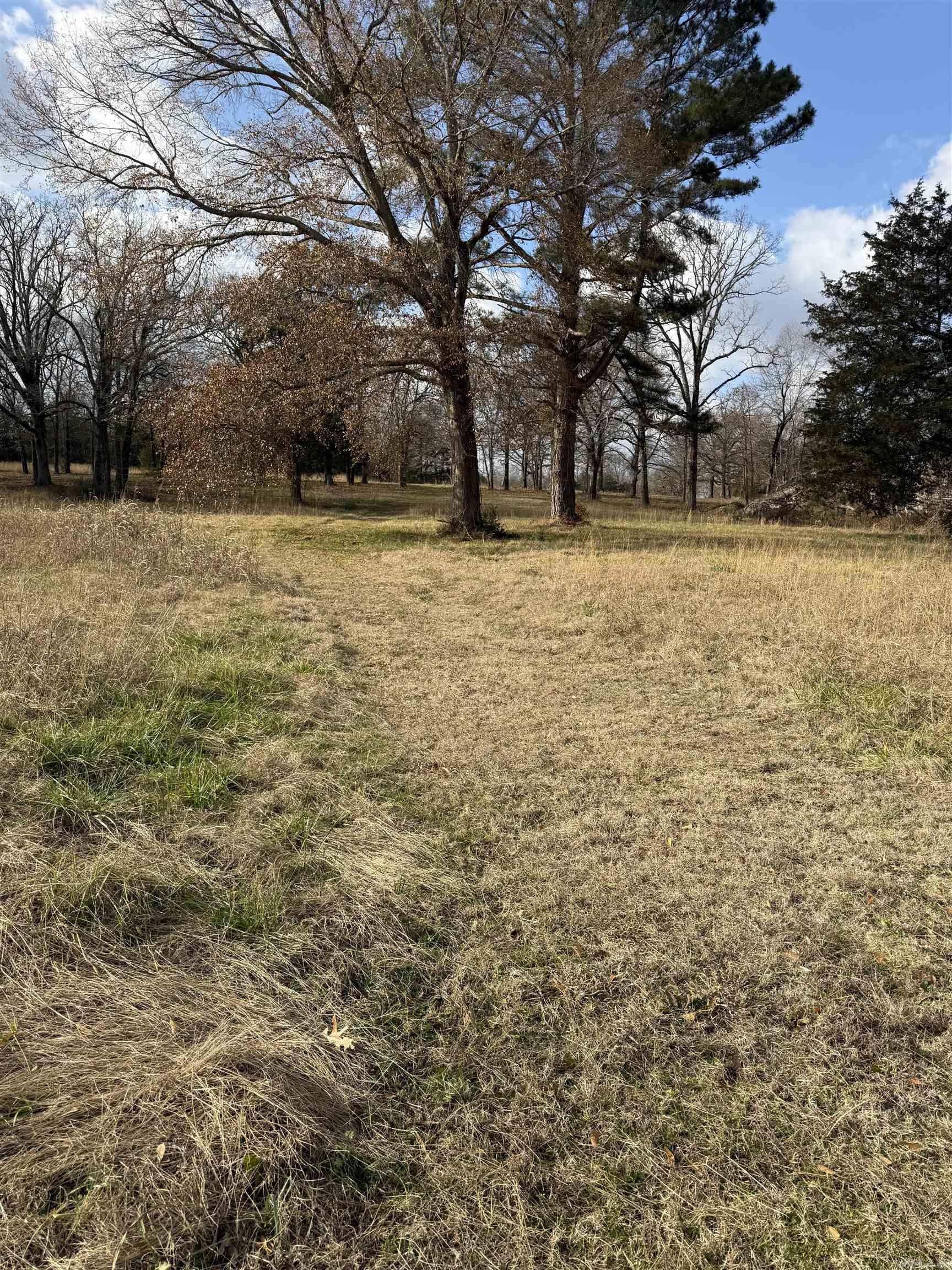 00 Hwy 321 Property Photo 3