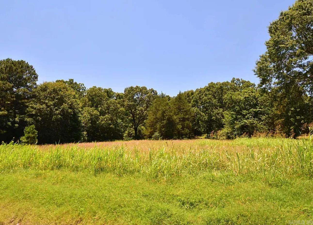 00 Hwy 321 Property Photo 10